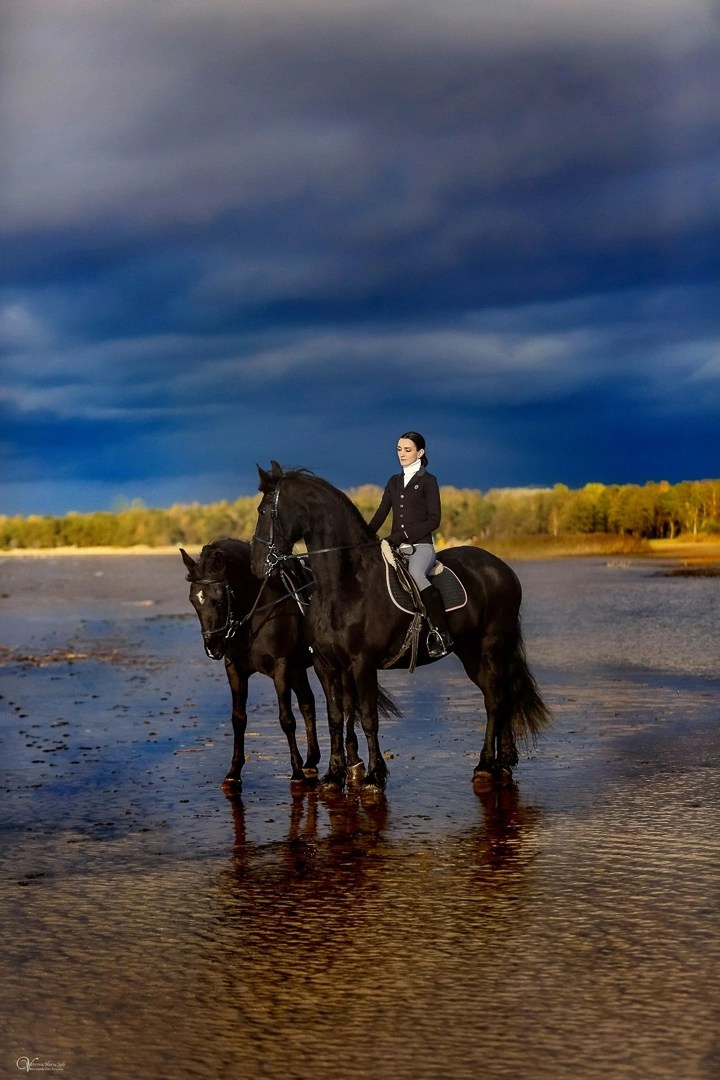 Фотосессии с лошадьми осенью. Фотограф женский и мужской портрет Санкт-Петербург