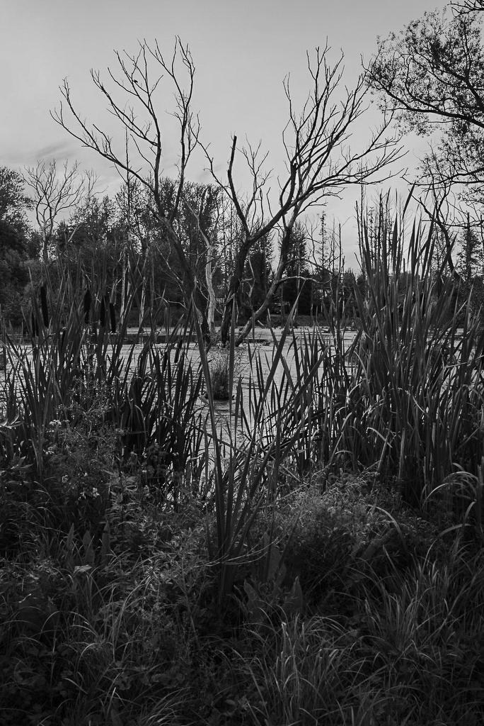 Sedimentation. Пылина Ирина — современная фотография