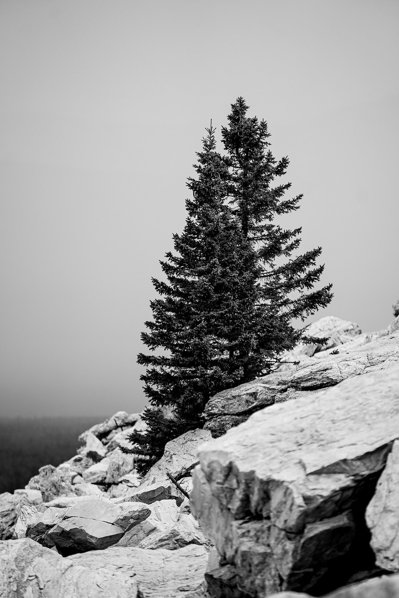 Артем и Оксана. Зюраткуль. Саша Потапкин Фотограф. Сочи, Екатеринбург, Москва