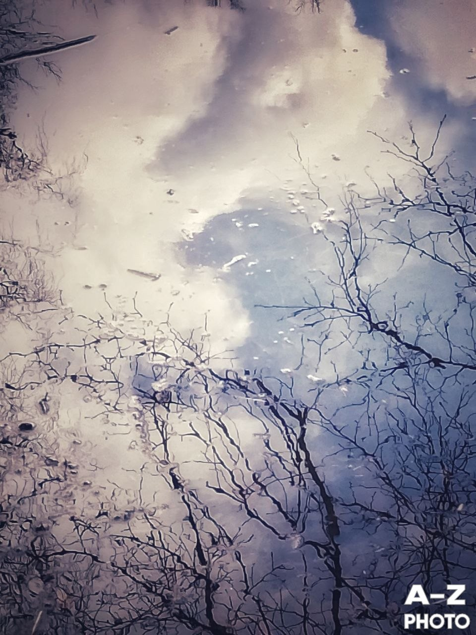 #ФОТОНЕДЕЛИ 20.04.2026. Женский семейный фотограф Тула Москва Захарова Анна