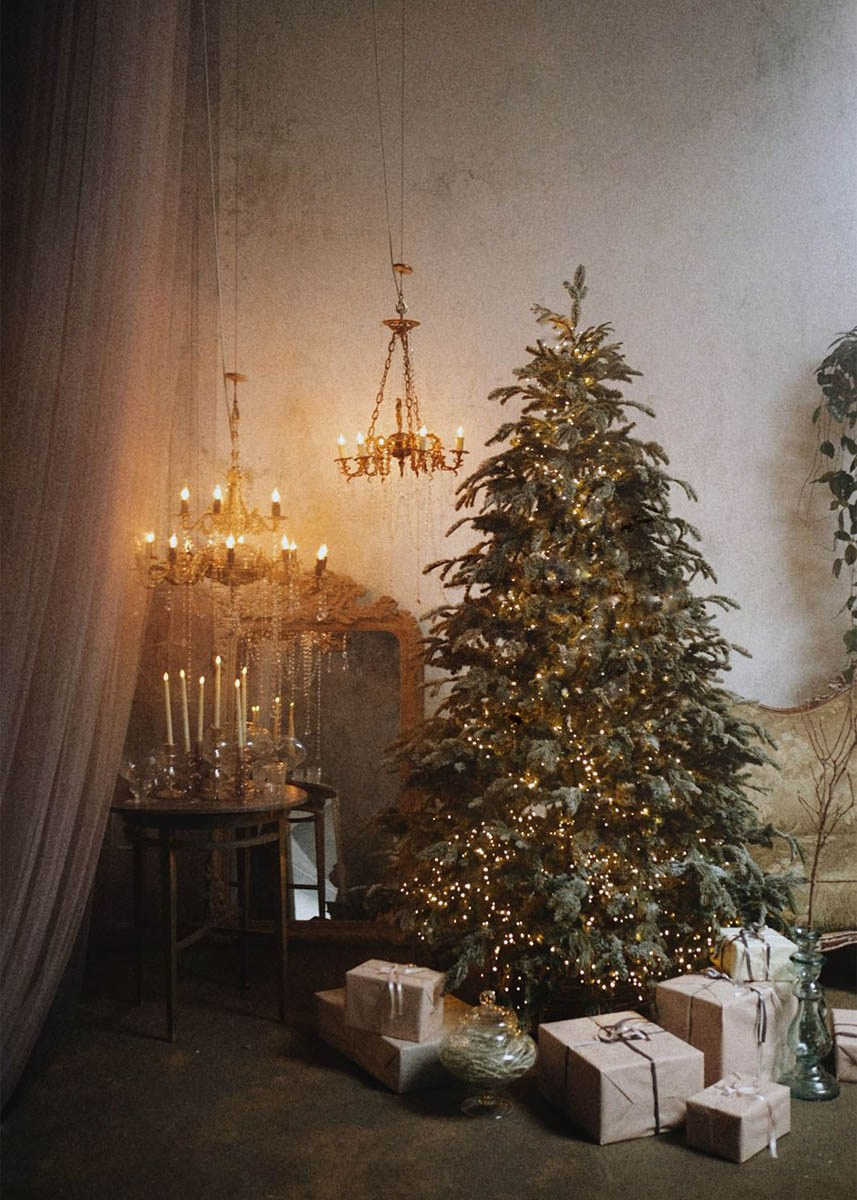 Где сделать красивую новогоднюю фотосессию в Москве, Мой личный рейтинг студий для праздничных съёмок, Фотостудии с атмосферой уюта и волшебства, Необычные локации для креативных новогодних кадров, Как выбрать студию под ваш стиль и настроение, новогодняя фотосессия в Москве, фотостудия для новогодней съёмки, лучшие фотостудии Москвы, новогодние фотостудии Москва, где сделать новогодние фото, фотостудии для бренд-съёмки, фотосессия в новогодней студии, идеи для новогодней фотосессии, бренд-фотограф Москва, фотосессия в студии Москва, rina_sphoto, Катерина Сысуева, Рина Сысуева, фотограф в Москве, бренд-фотограф для экспертов, Prostanstvo