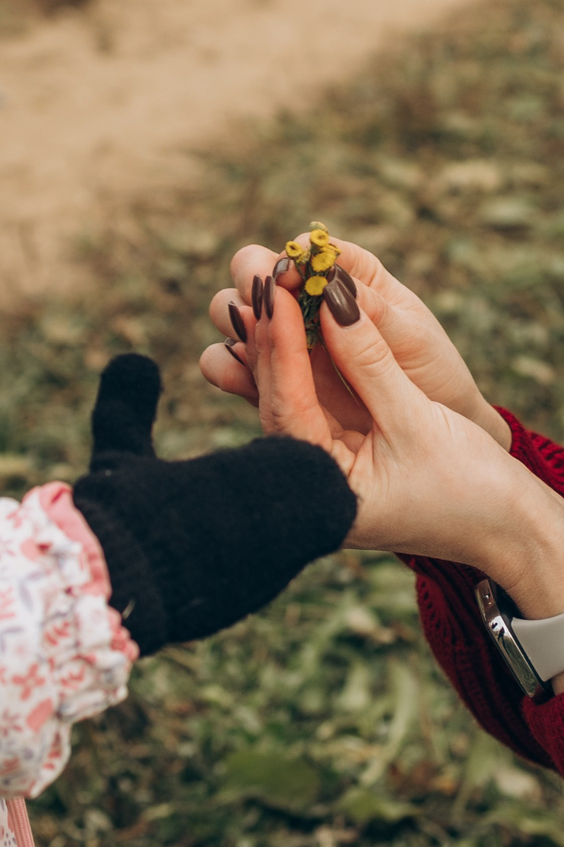 Летучий змей-семейная (4.10.2025 г.) г. Жуков (Калужская обл.). Надежда Стар семейный и церковный фотограф в Жукове и Калужской области