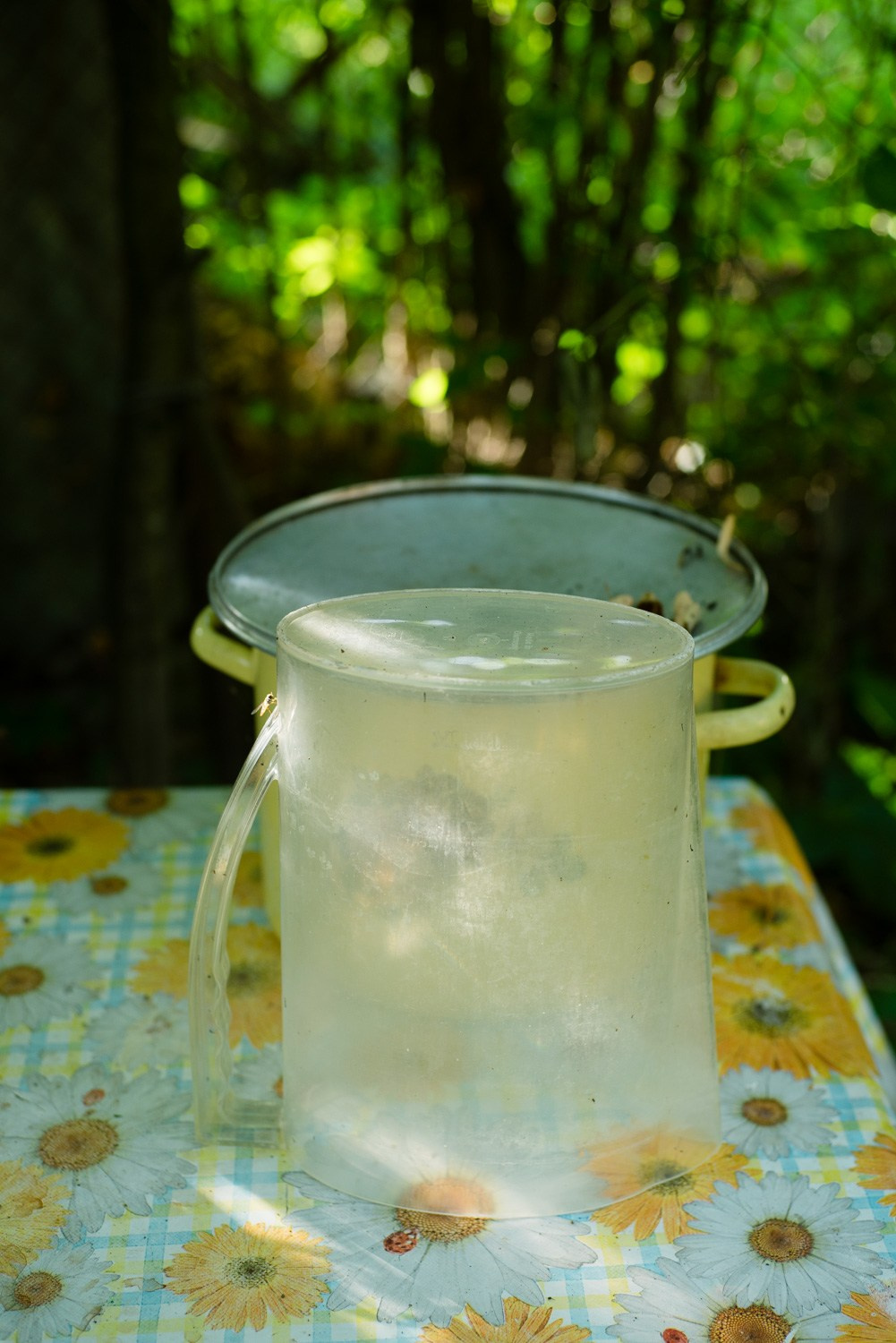 Summer Recurrences. Пётр Антонов