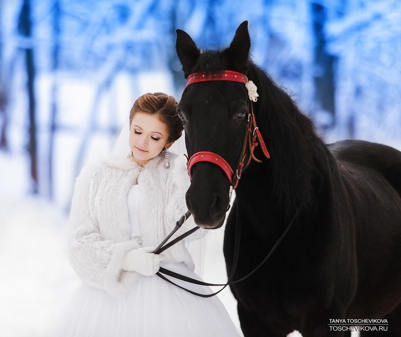 Свадебная фотография. Фотограф Таня Тощевикова