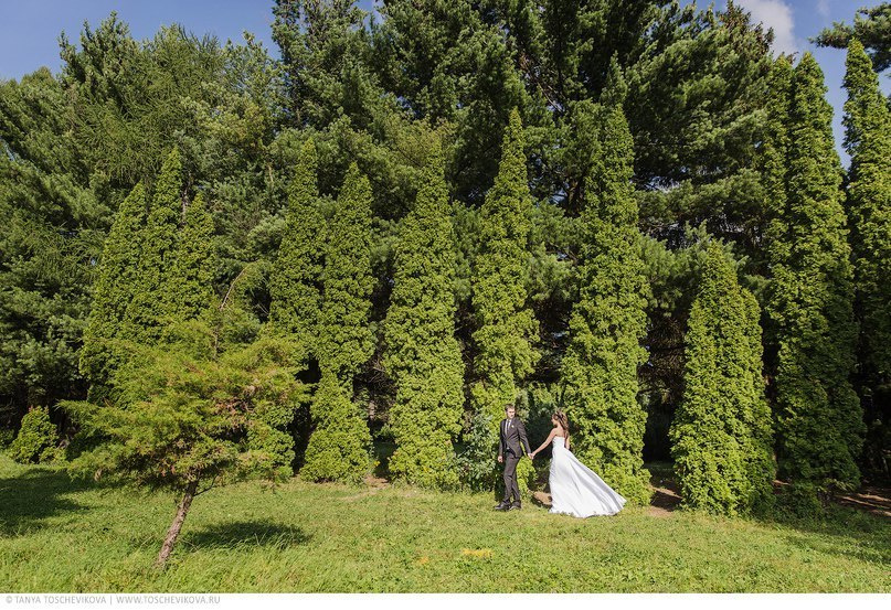 Свадебная фотография. Фотограф Таня Тощевикова