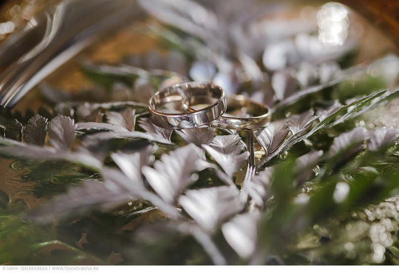 Свадебная фотография. Фотограф Таня Тощевикова