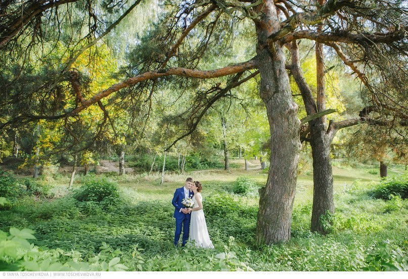 Свадебная фотография. Фотограф Таня Тощевикова