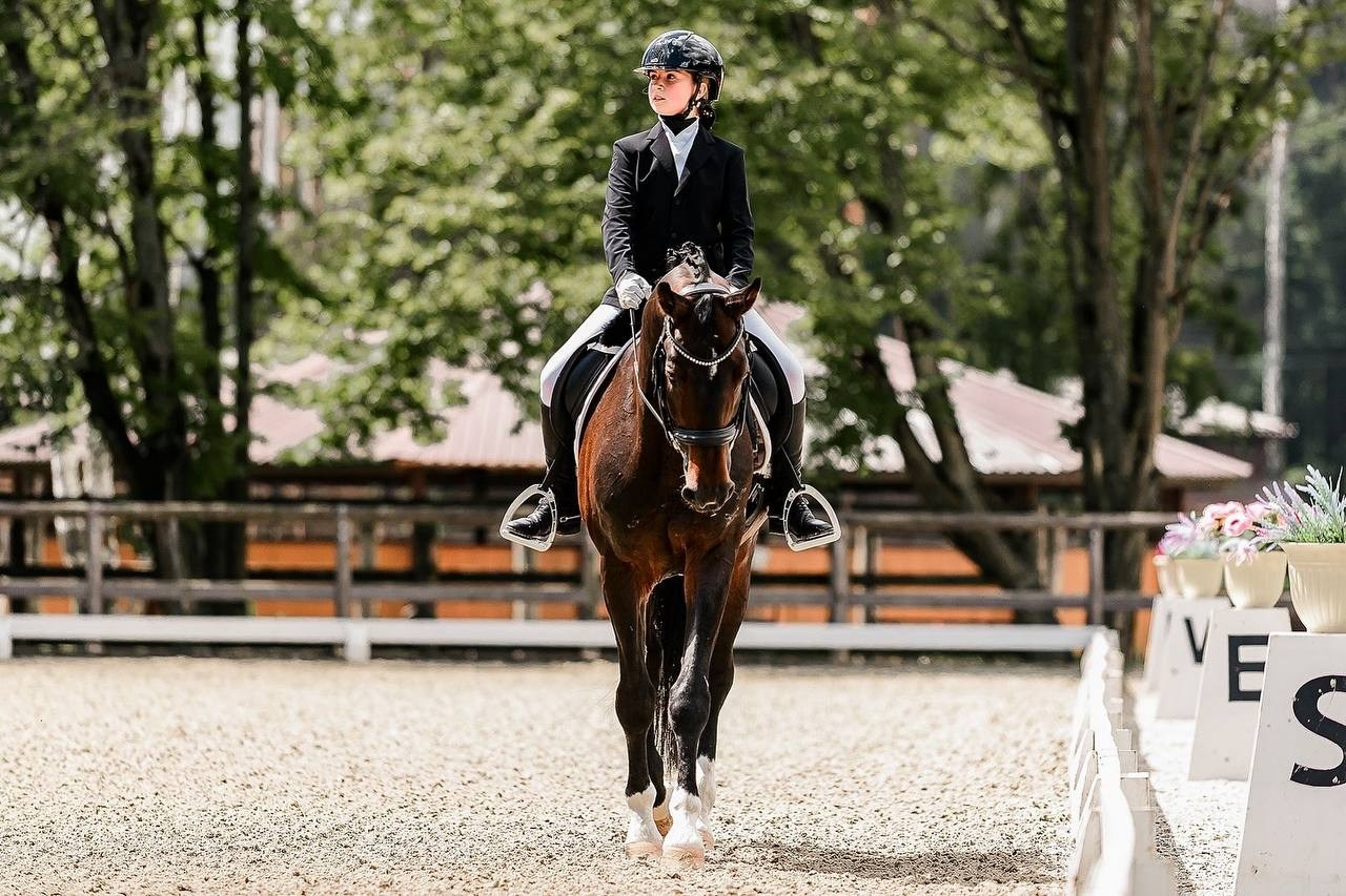 Третий этап КУБКА КСК «АЛМАЗОВО» по ВЫЕЗДКЕ. Конный фотограф Куракина Дарья • Фотосессии с лошадьми