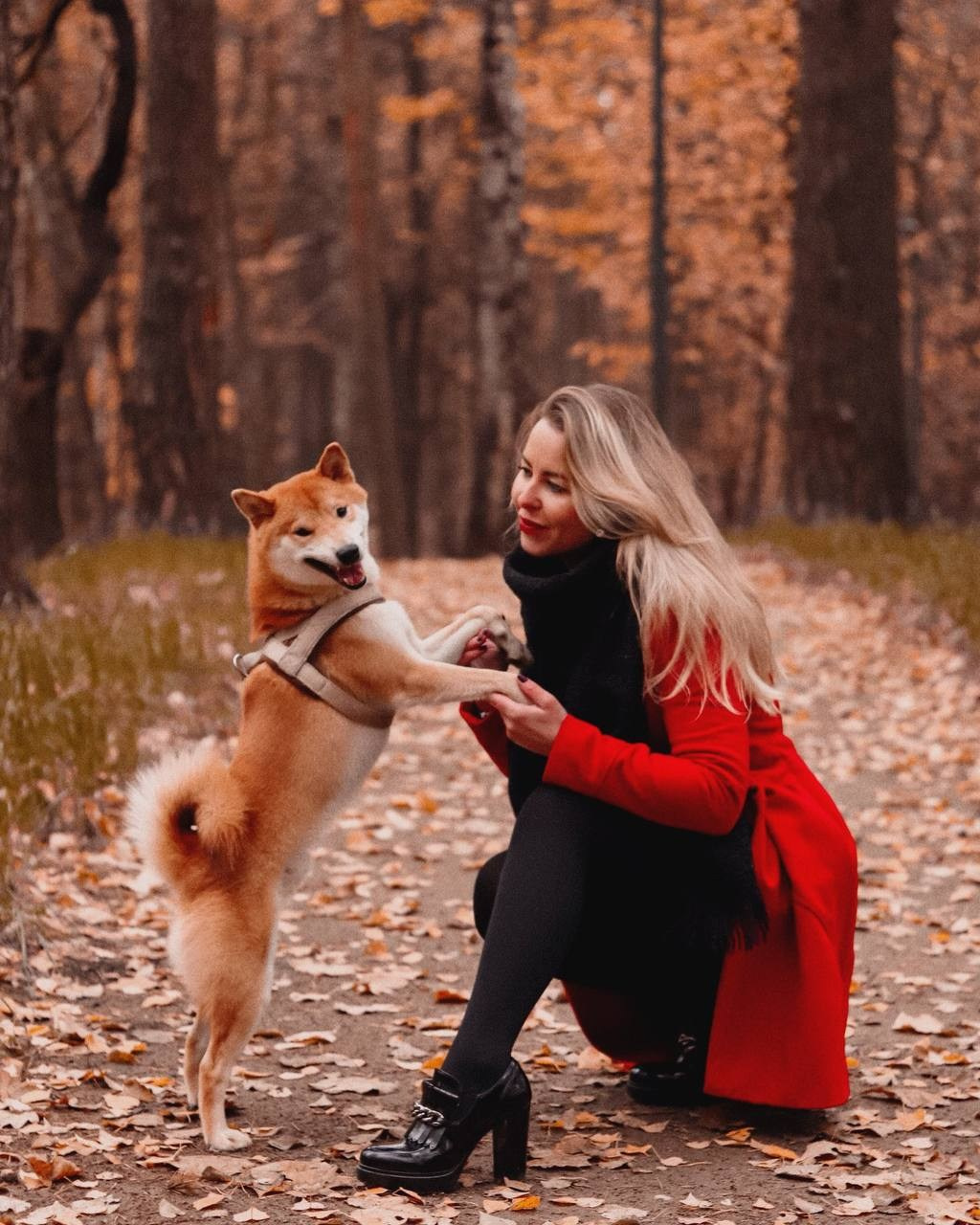 Autumn 2019. Меня зовут Лиана.я видеограф и фотограф 📍 Работаю в Москве и МО