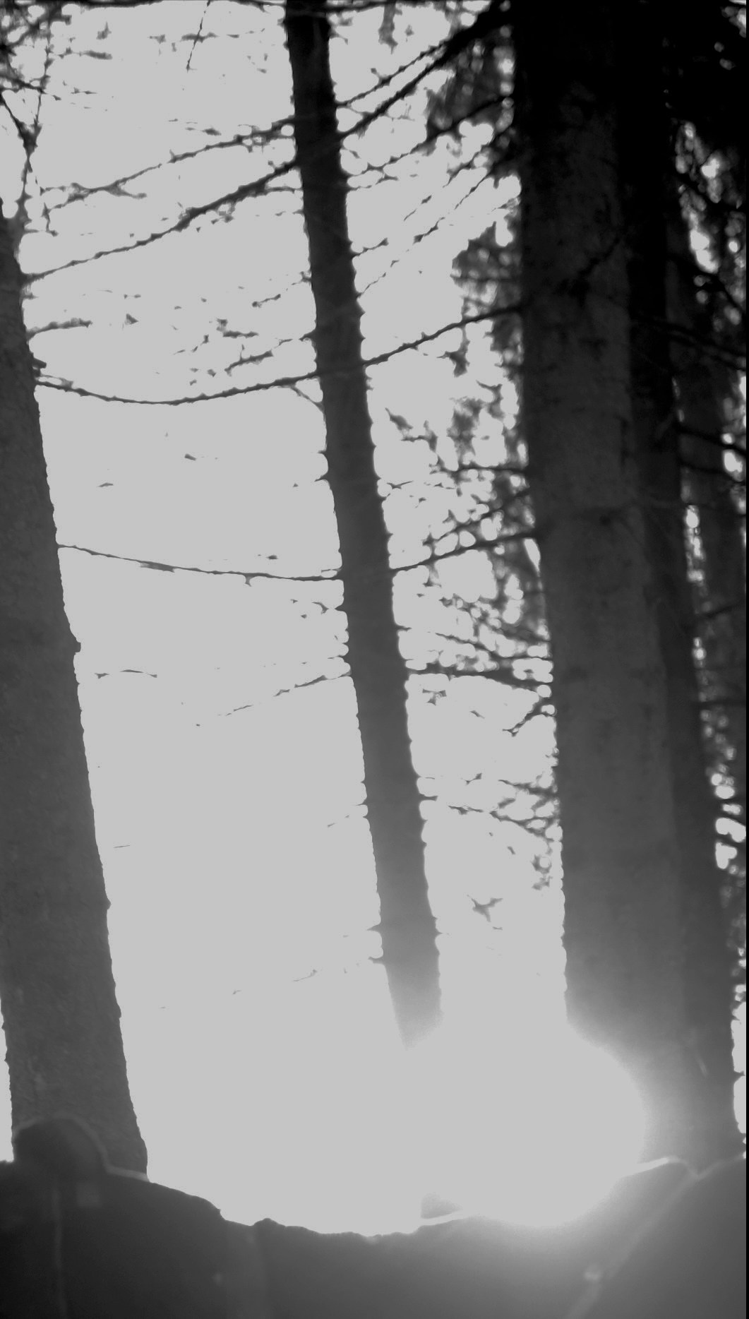 Ничего не было видно и приходилось прислушиваться. Художественная группа «Нежные Бабы»