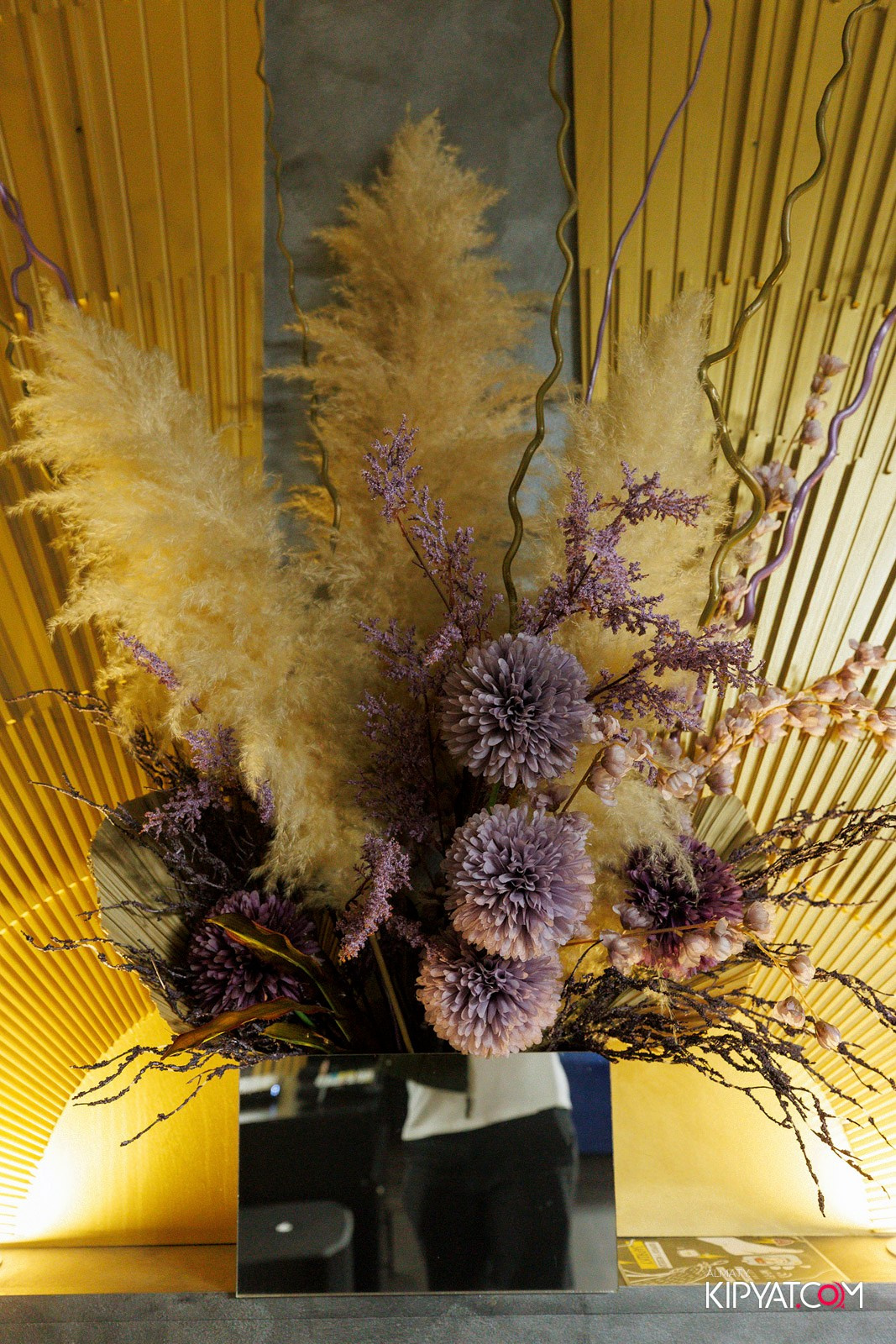 УХО И МЕДВЕДЬ НА ГАГАРИНА. КИПЯТКОМ АЛМАТЫ! Фотосъемка мероприятий в Алматы