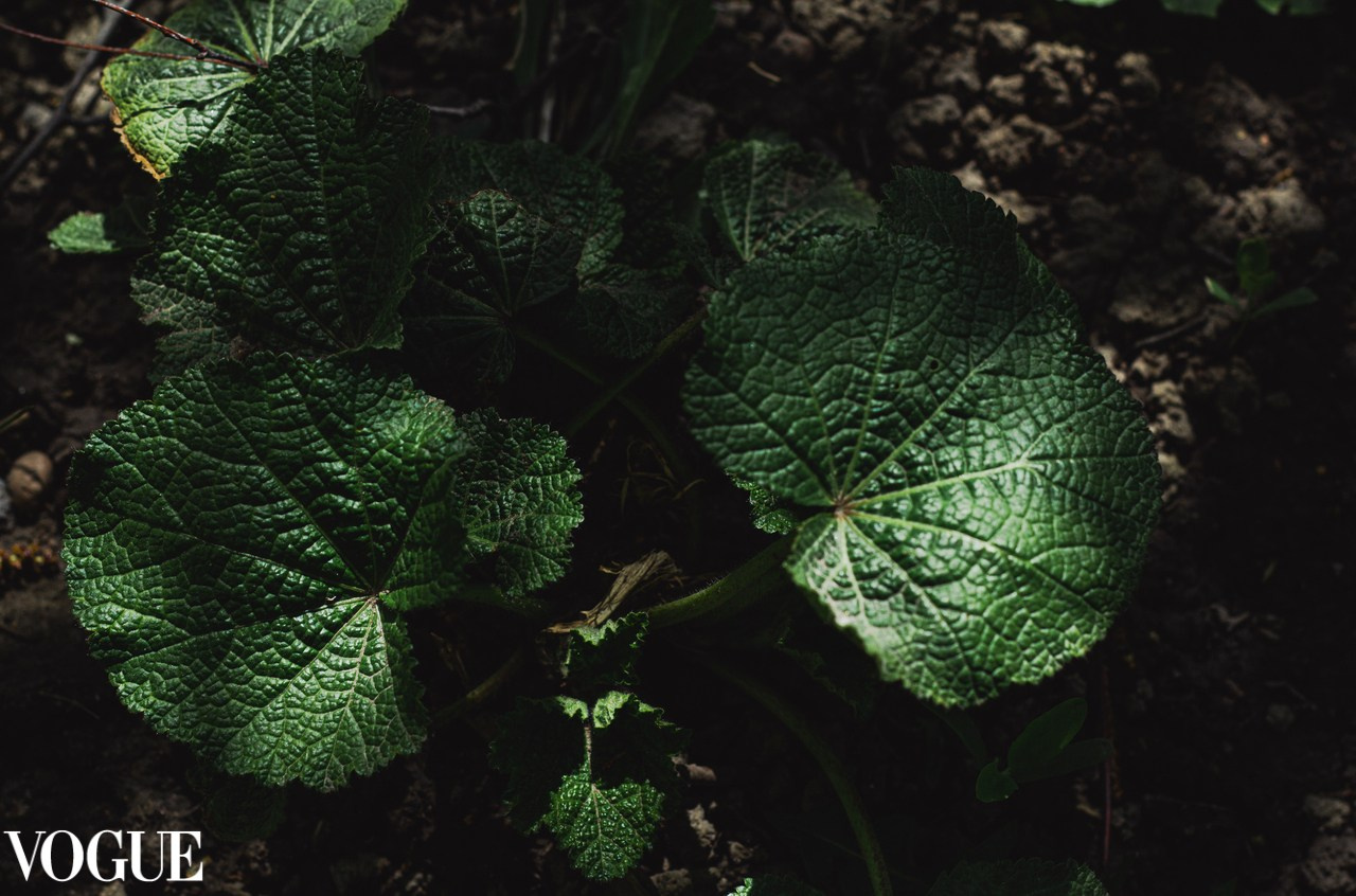 Мои публикации в итальянском журнале VOGUE. Ольга Степанова фотограф визажист в Санкт-Петербурге