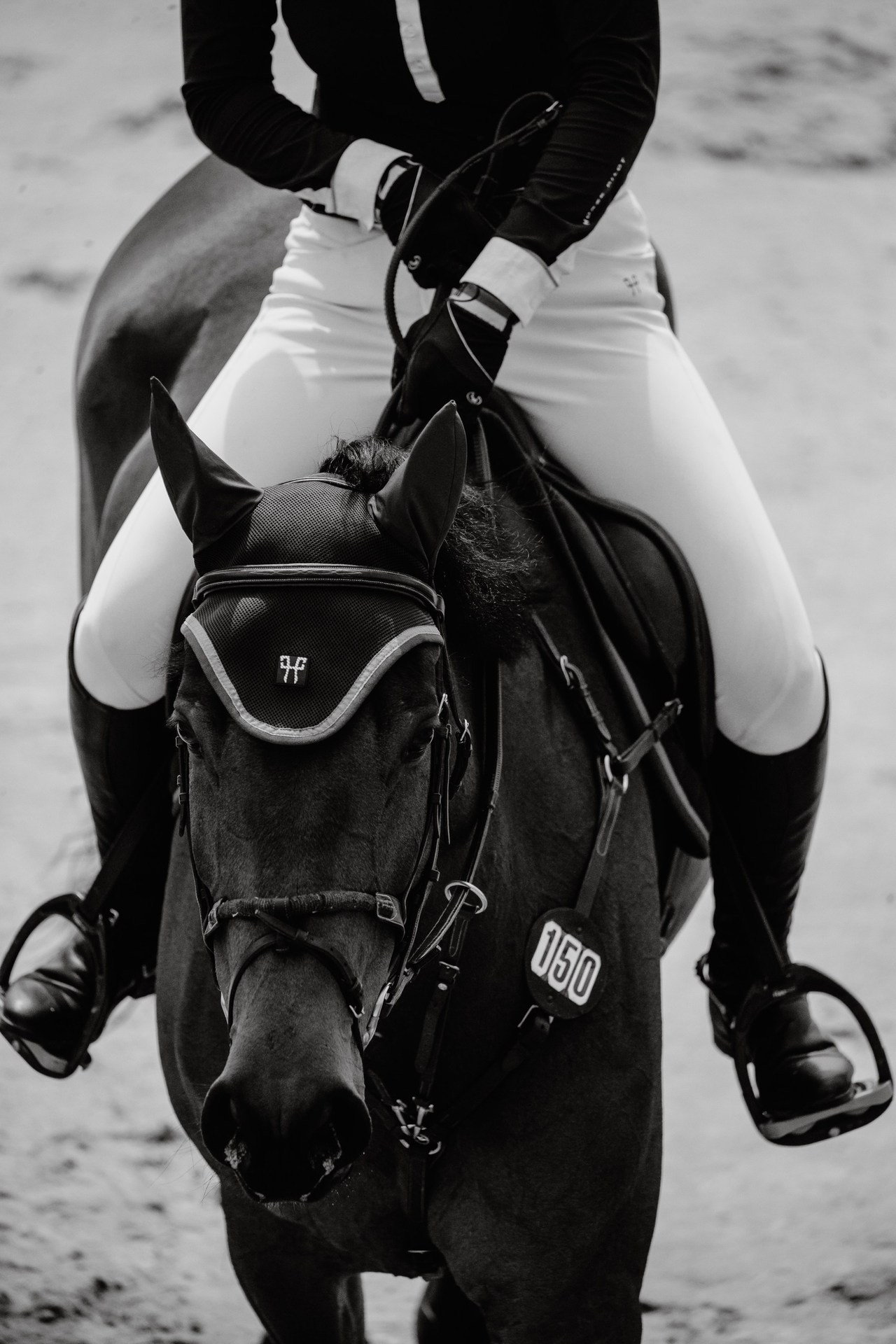 Отзывы. Фотограф-анималист Ксендзова Кристина