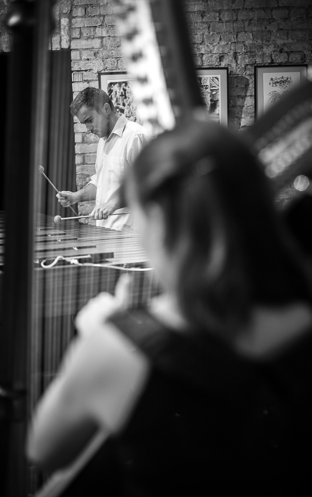 Арфа и маримба. SaGaFOTO.ru