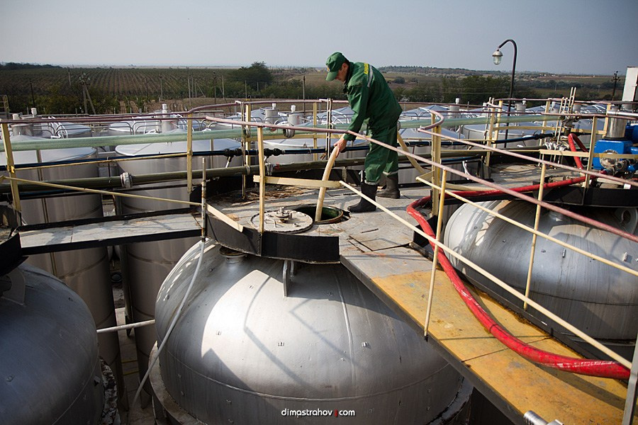 Винзавод Качинский +. Свадебный фотограф, фотосъемка в Крыму, Севастополе, Симферополе, Ялте
