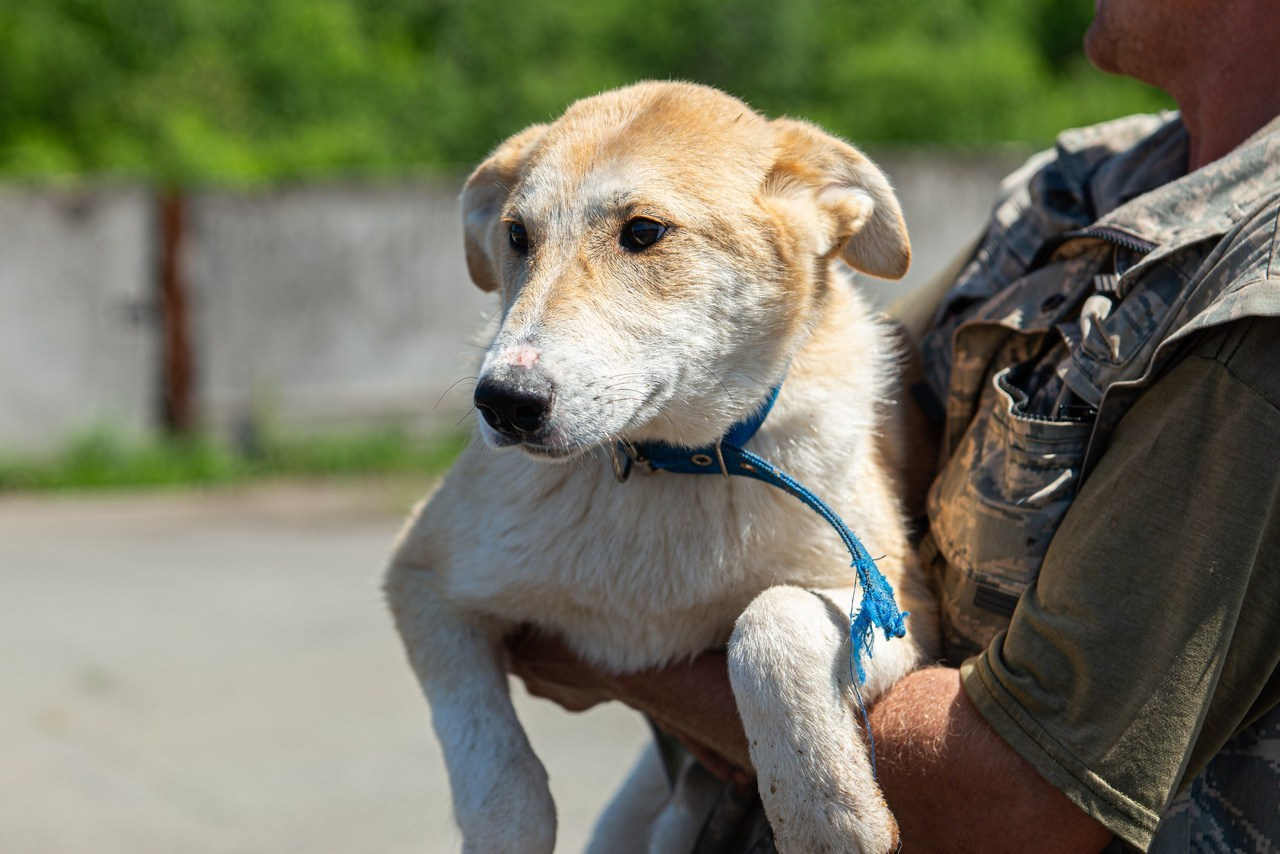 Отзывы. Фотограф на Камчатке Анна Моргачёва. Семейные и детские съёмки