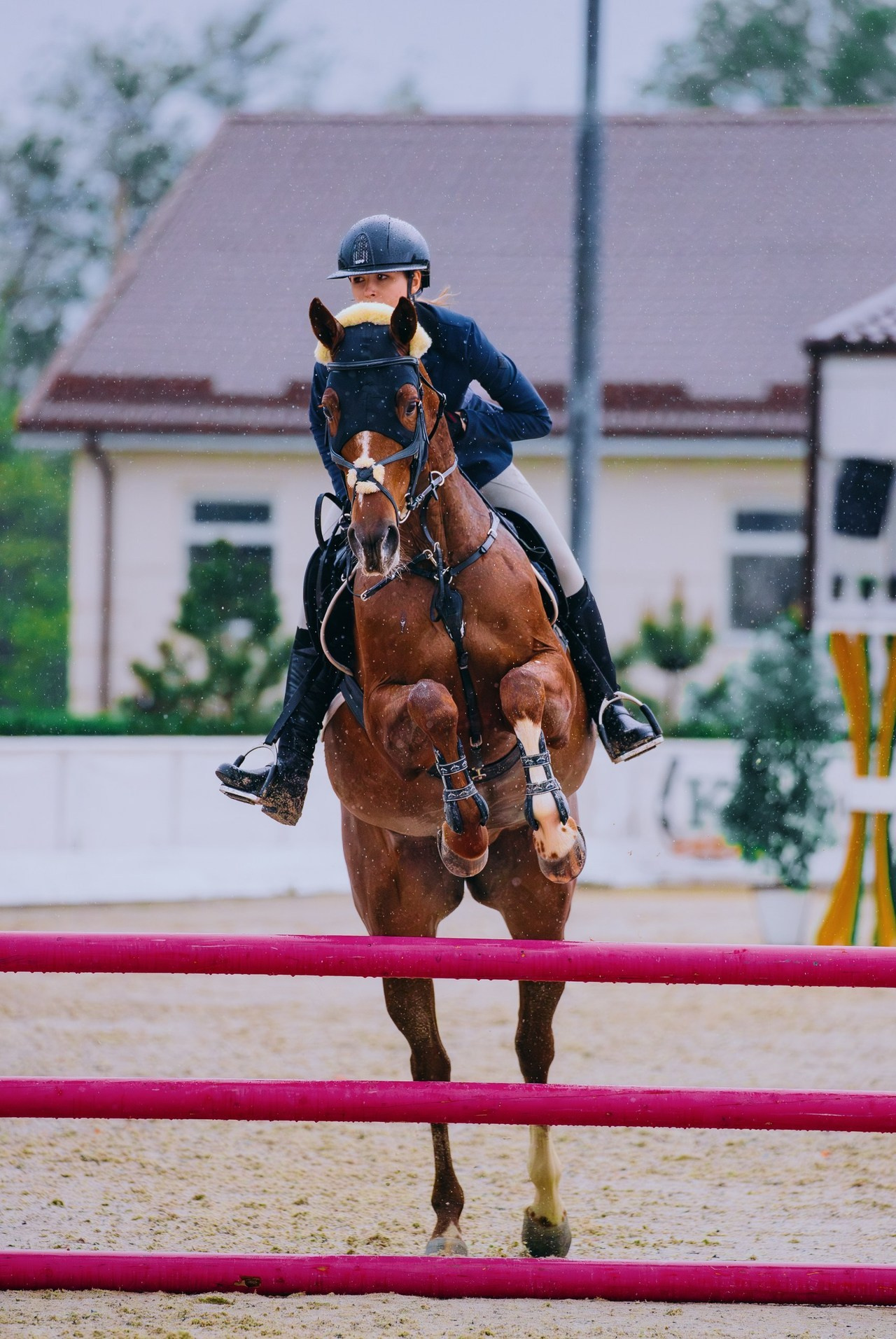 Отзывы. Фотограф-анималист Ксендзова Кристина