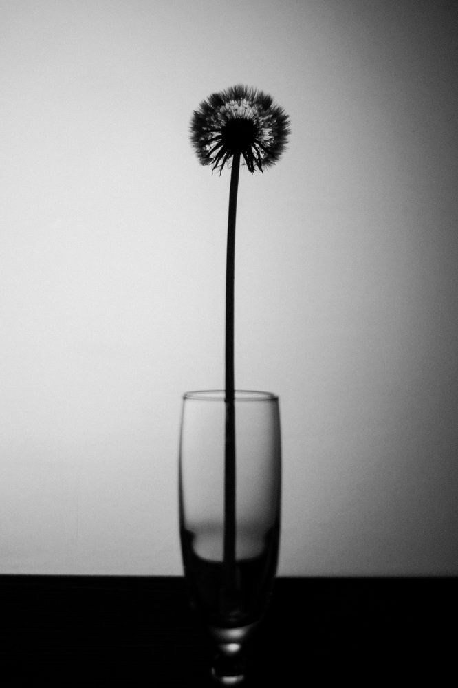 Пазлы. Фотохудожник Татьяна Бойцова