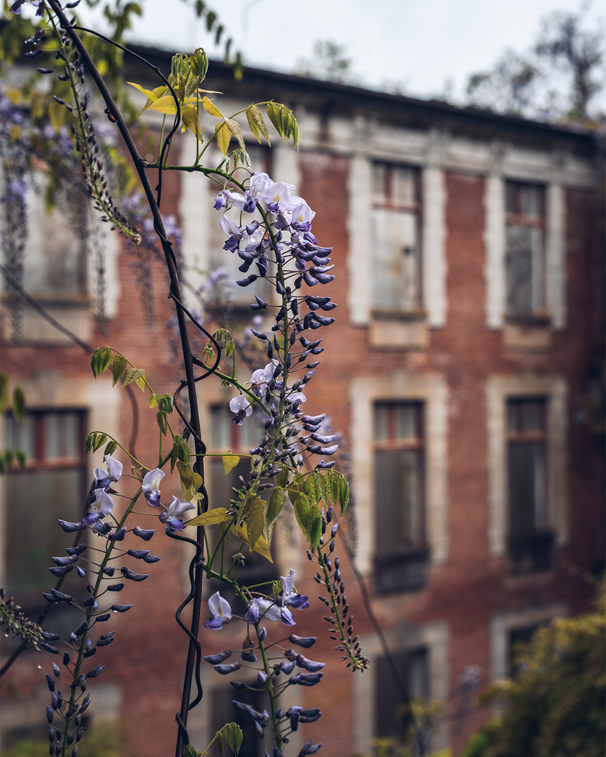 Абхазия в объективе: путешествие рекламного фотографа из Гуанчжоу. Коммерческий и предметный фотограф в Гуанчжоу Коваленко Александр