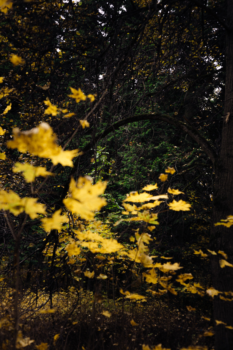 Дом. Фотограф в Москве и Санкт-Петербурге Саша Кар