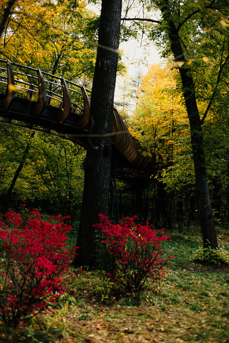 Дом. Фотограф в Москве и Санкт-Петербурге Саша Кар