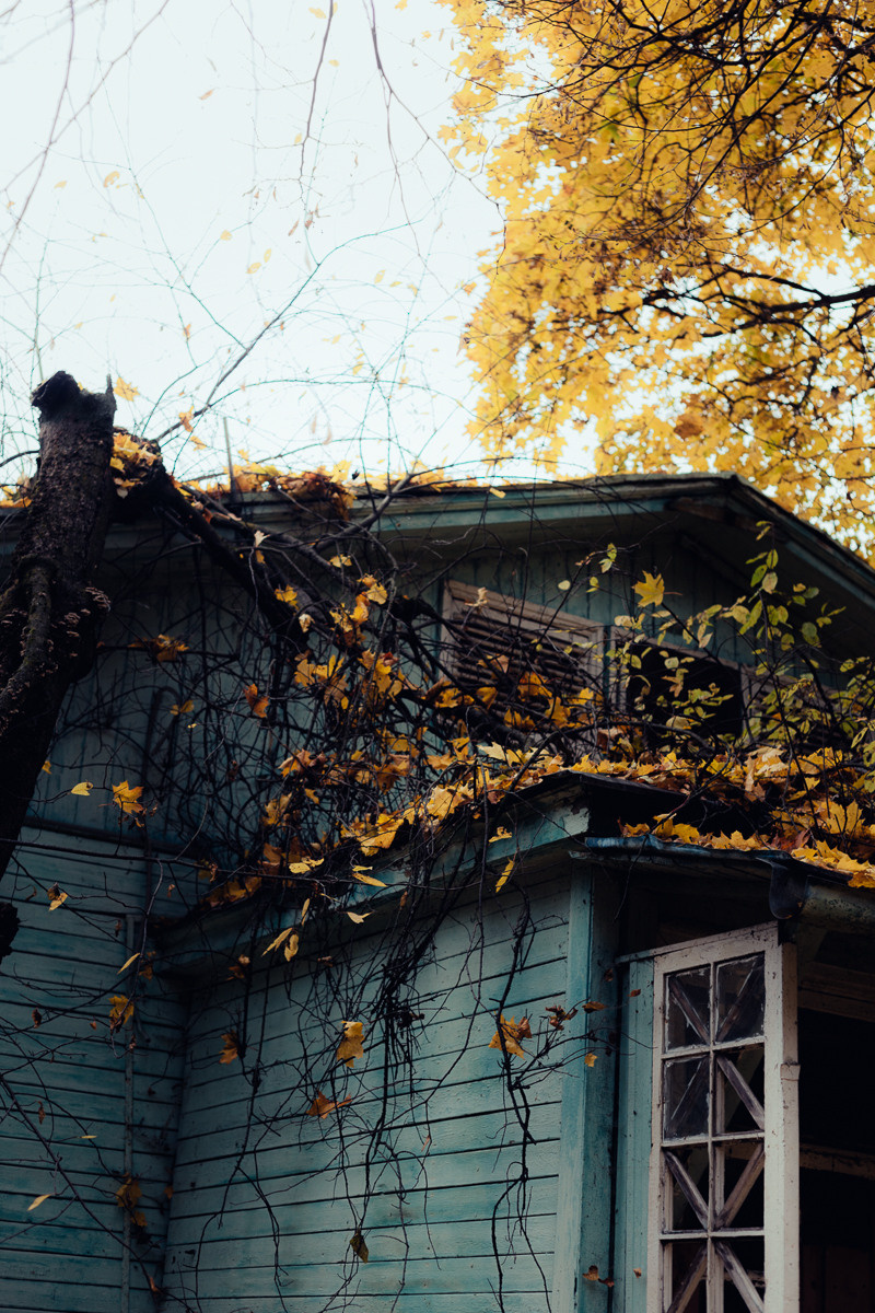Дом. Фотограф в Москве и Санкт-Петербурге Саша Кар