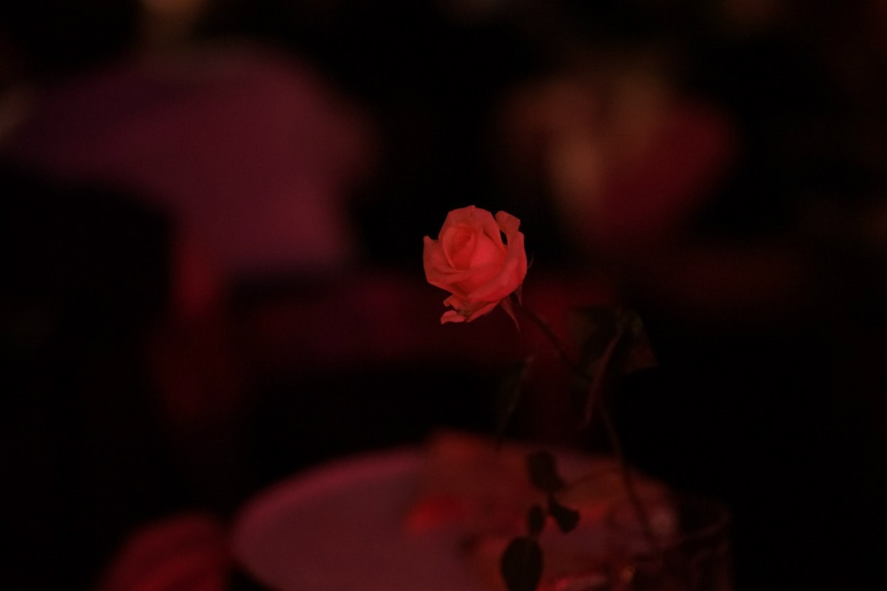 Музыкальная вечеринка | 07.03.2016. Галерея Фантим