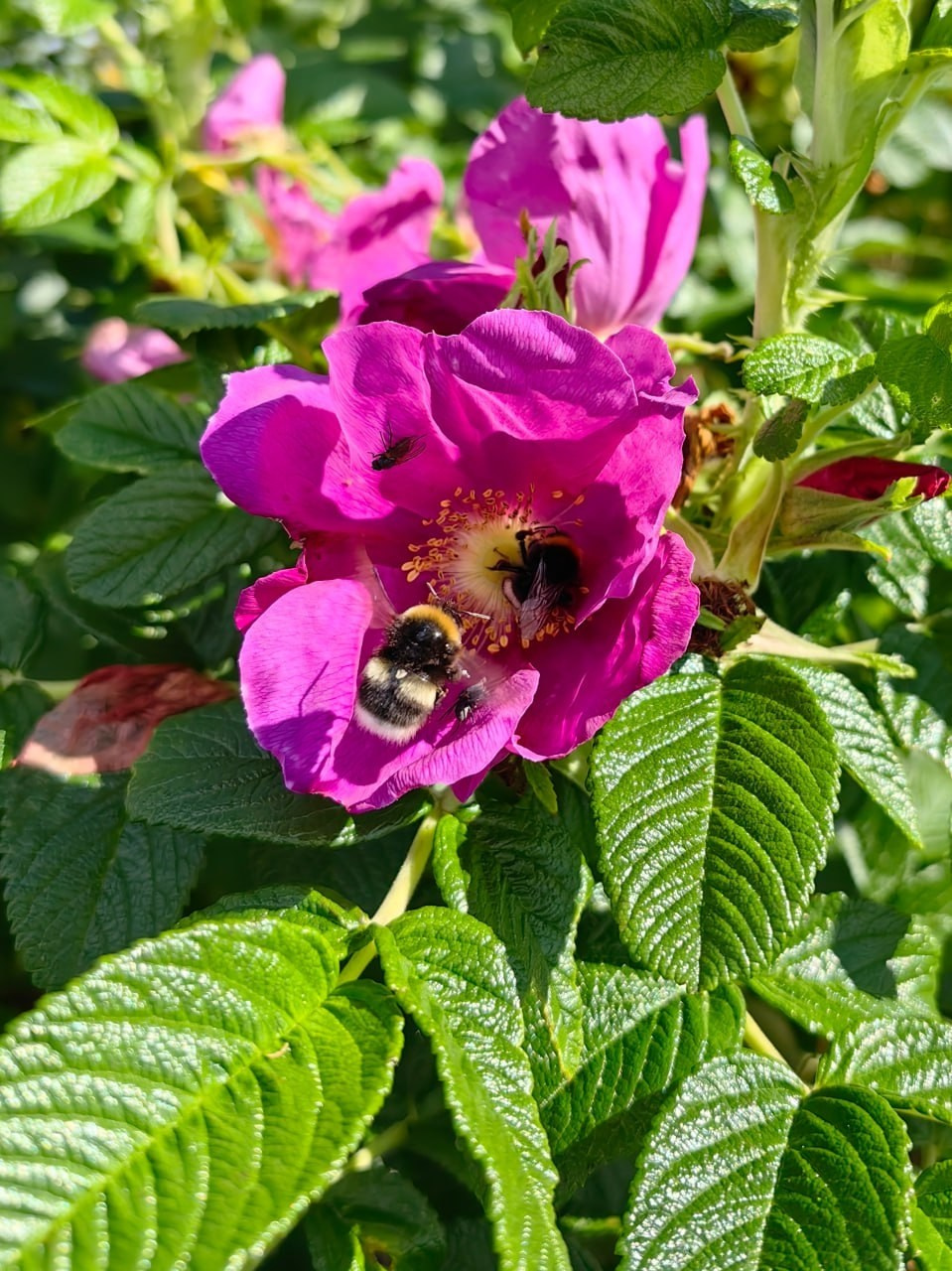 Карелия | 16-18.08.24. Галерея Фантим