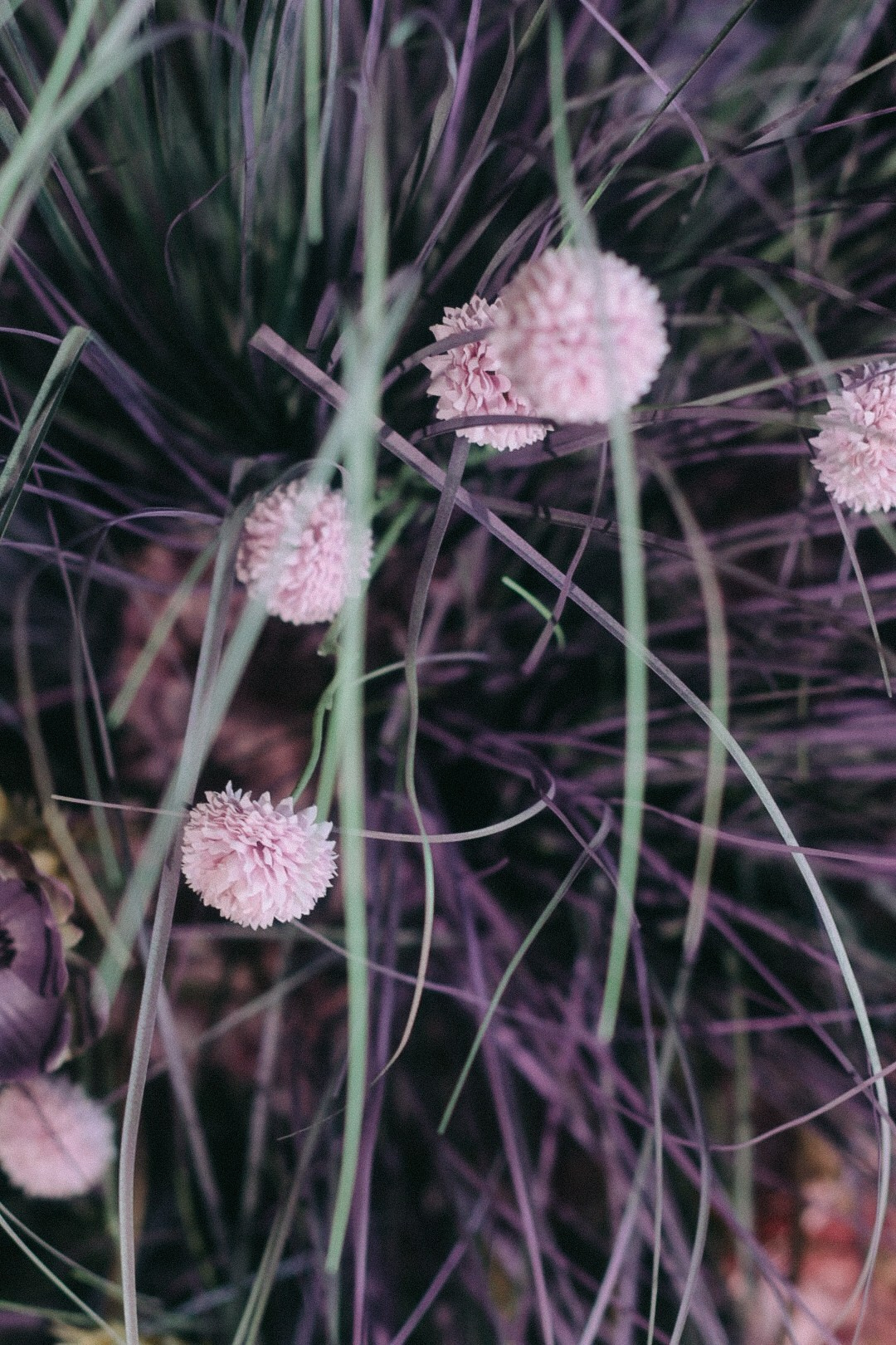 Сергей и Лолита. Фотограф Нижний Новгород