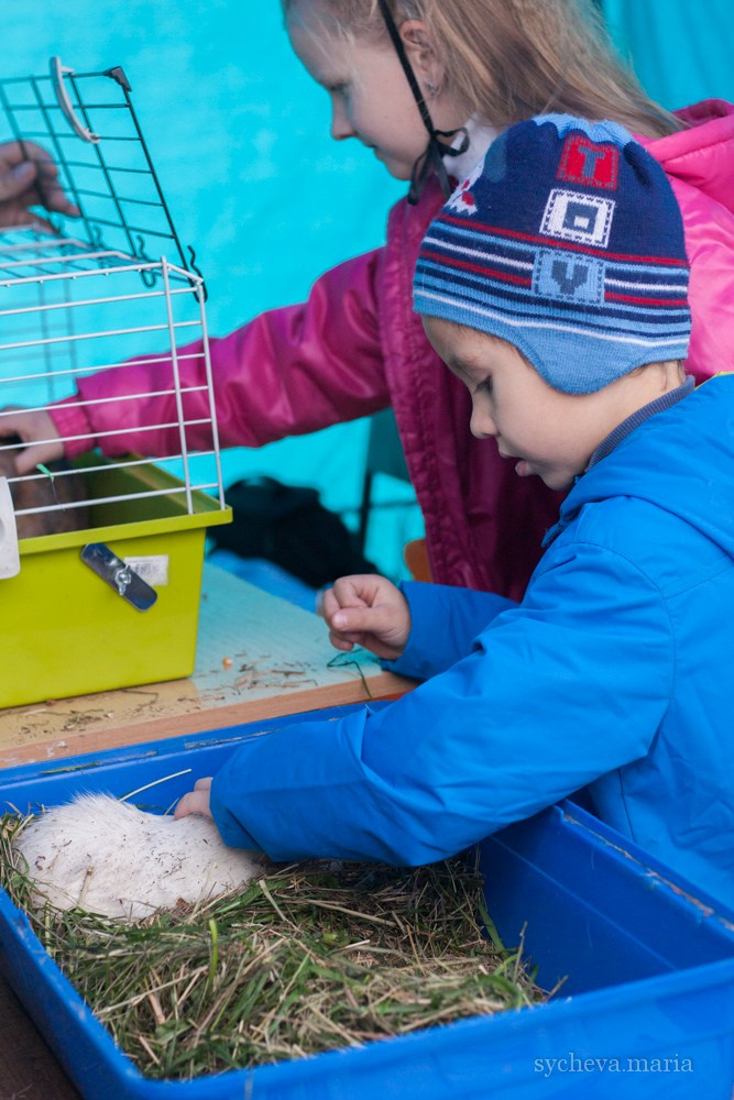 Ярмарка талантов. Детский и семейный фотограф, фотограф мероприятий Нижний Новгород