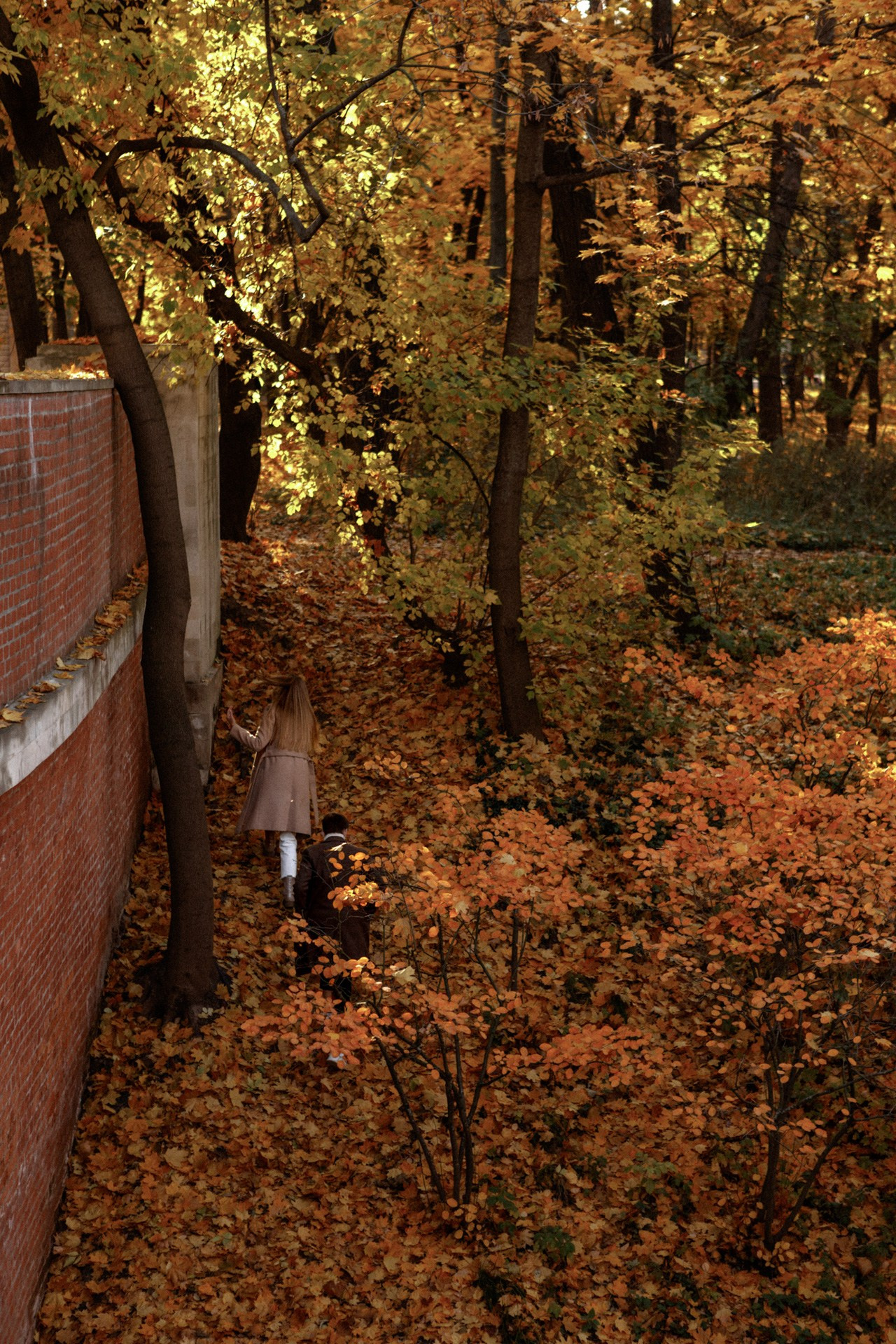 Бабочки в животе. Фотограф Владимир Молоканов