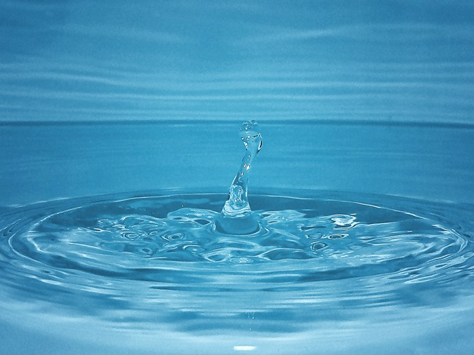 Самые первые мои фотографии. Елена Берсенева, фотограф