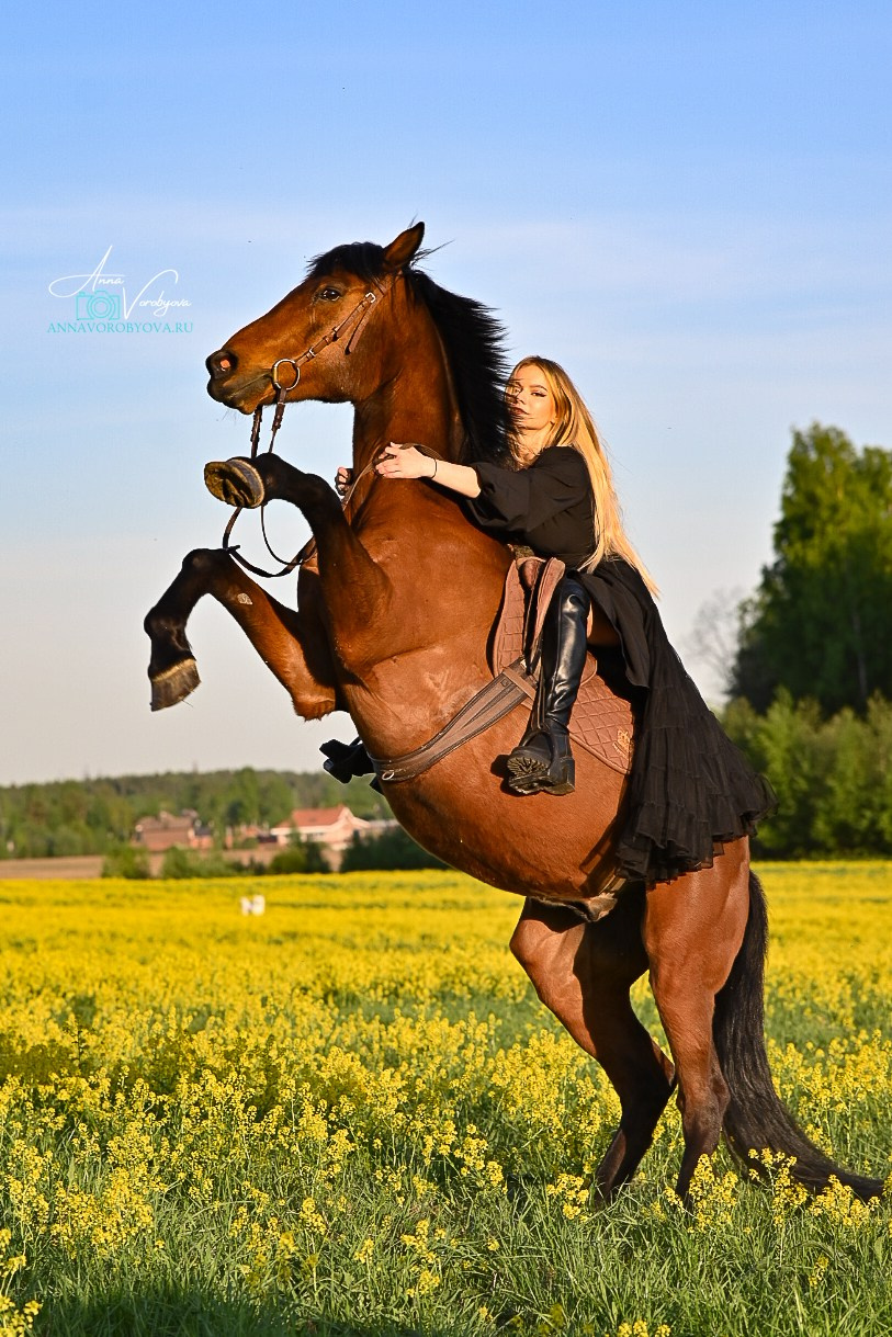 Кристина и Лидберг. LifeStyle фотограф Анна Воробьёва Санкт-Петербург
