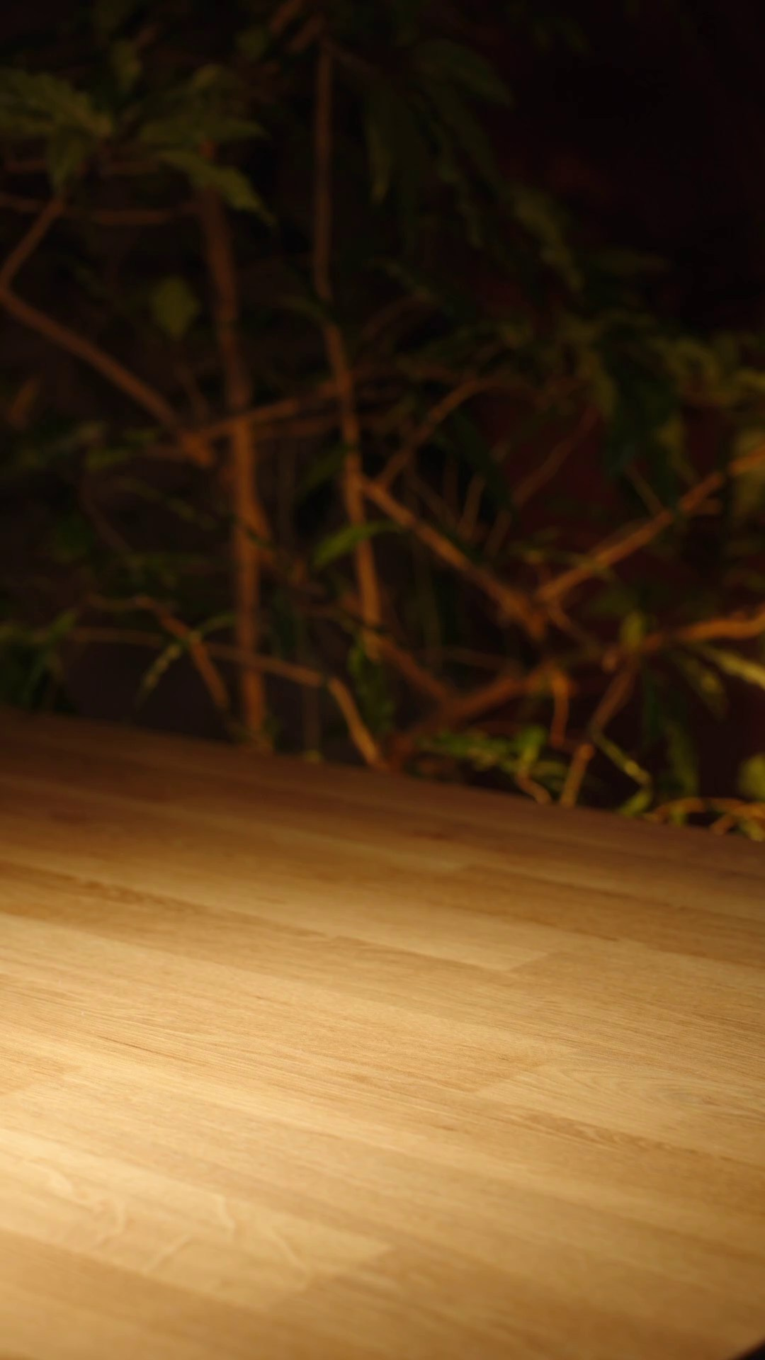 Дизайн кашпо. Интерьерный фотограф. Москва. Данил Новиков