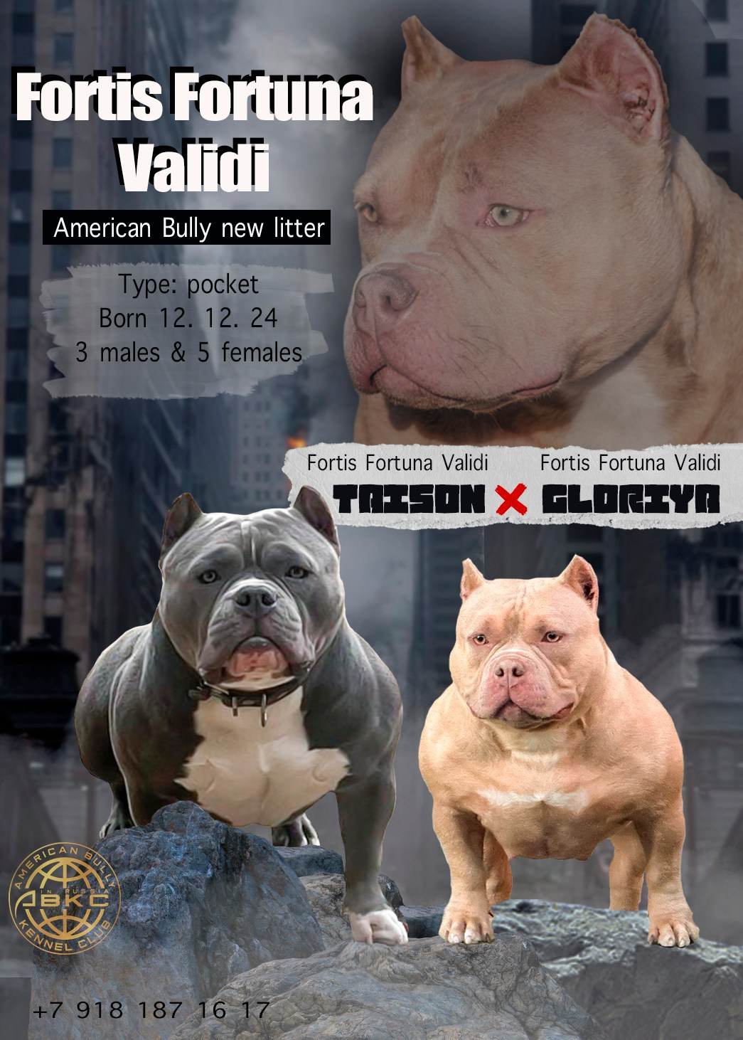 ПИТОМНИК СОБАК ПОРОДЫ АМЕРИКАНСКИЙ БУЛЛИ