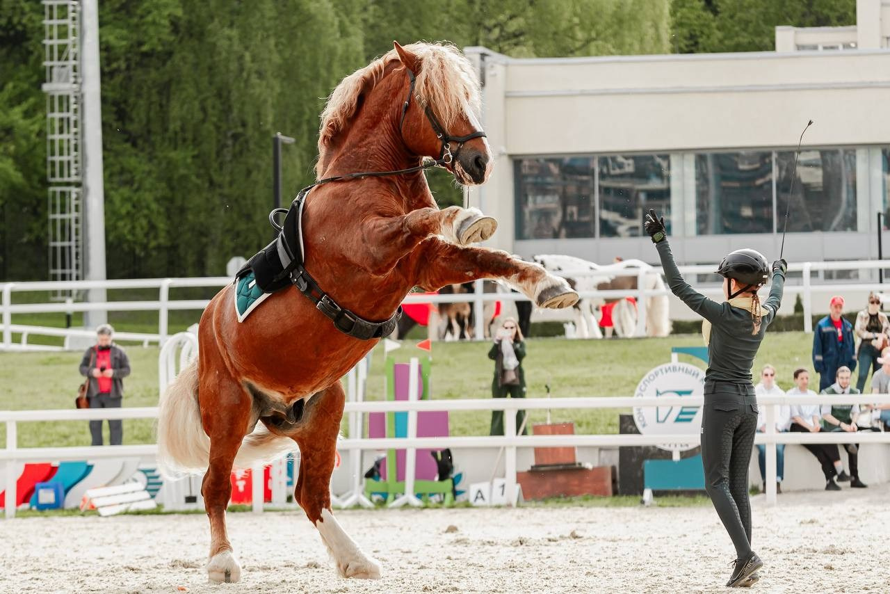 ЭКВИРОС — МАЙ 2025. Куракина Дарья • Конный фотограф