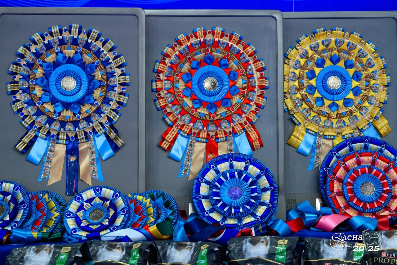 Отзывы. Фотограф анималист Елена Галдина г. Красноярск