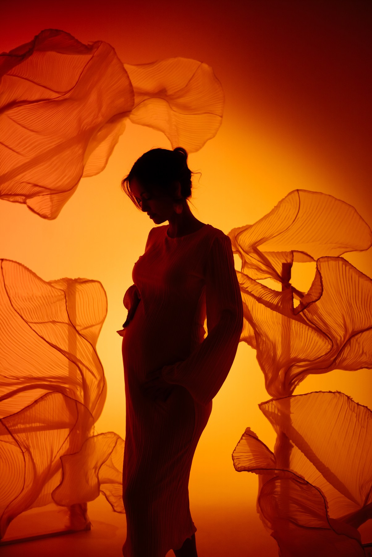 Беременность. Циклорама с вуалью. Свадебный и сеейный фотограф в Санкт-Петербурге Елена Худякова