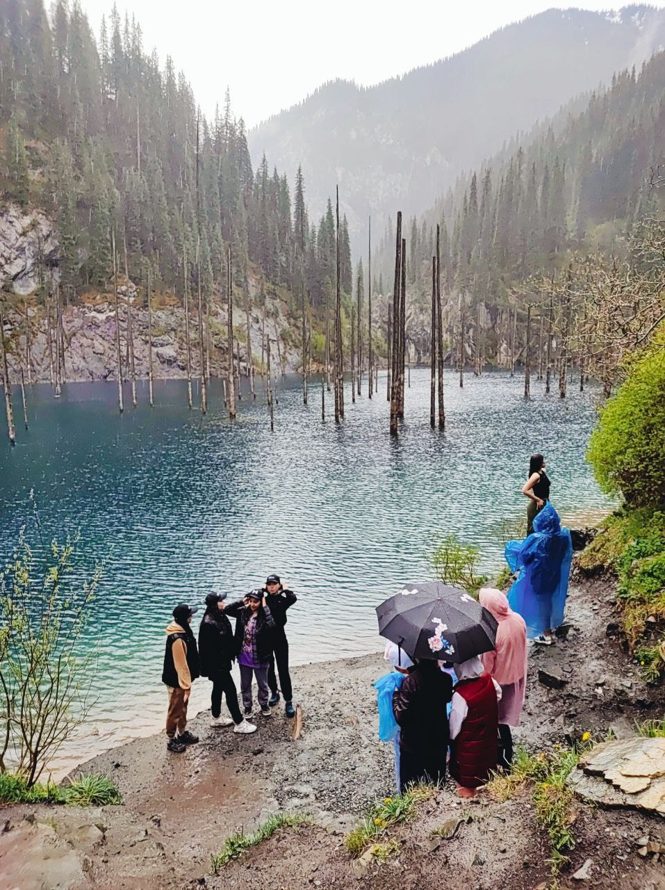 Намобилкус казахский. Репортажный фотограф Алексей Пирязев