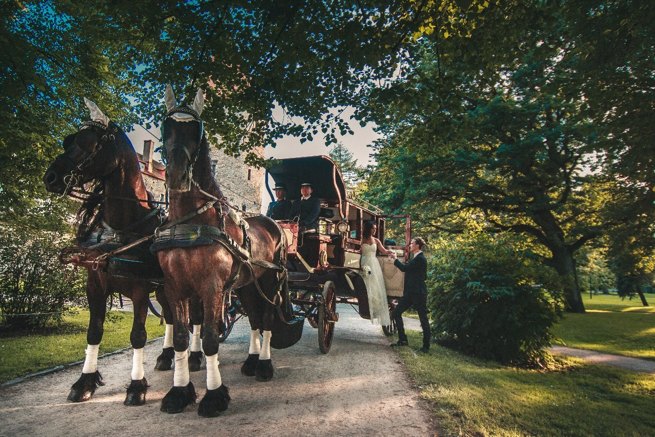 Свадебные съемки. Фотограф Бочарова Наталья, Санкт-Петербург
