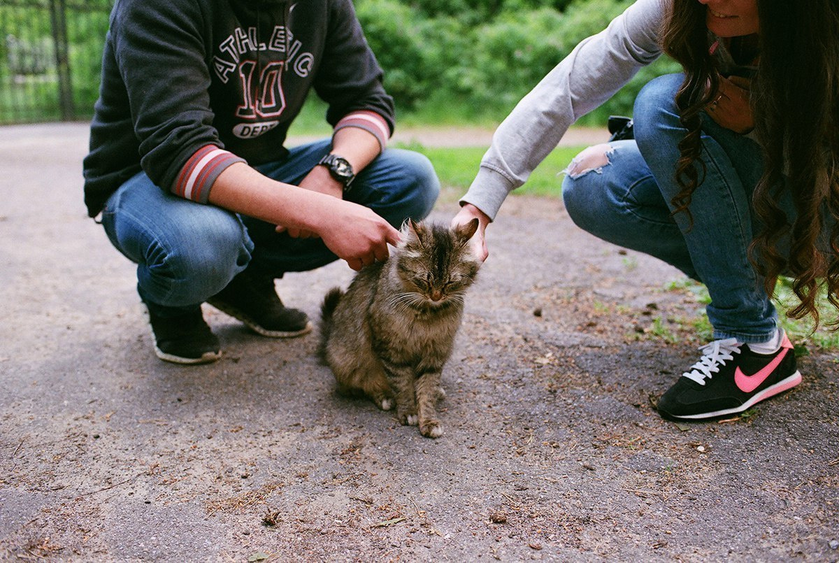 Андрей и Катя. Свадебный и семейный пленочный фотограф в Петербурге Истомина Ирина