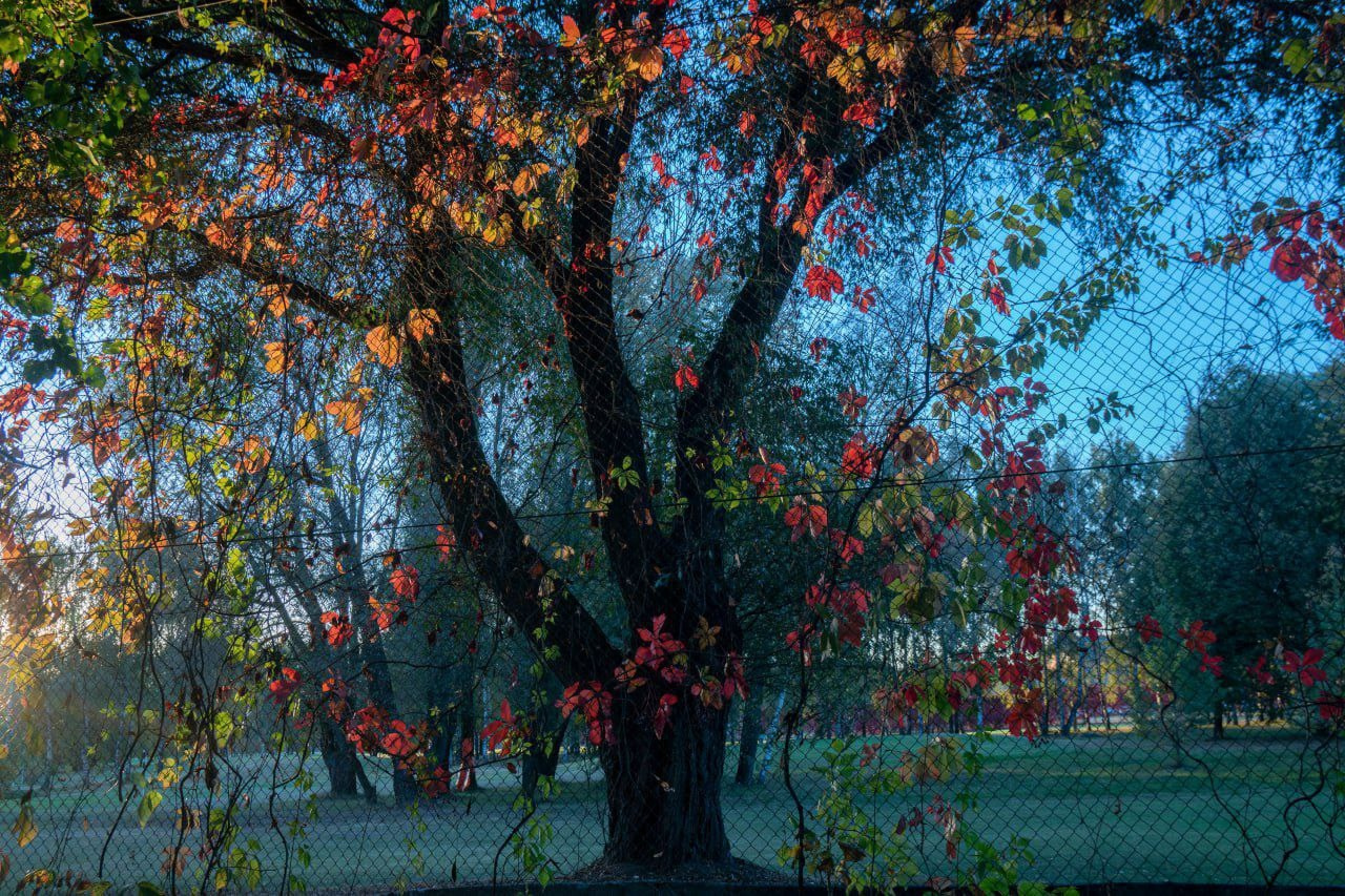 Симуляторы (Каталог № 4). Главная