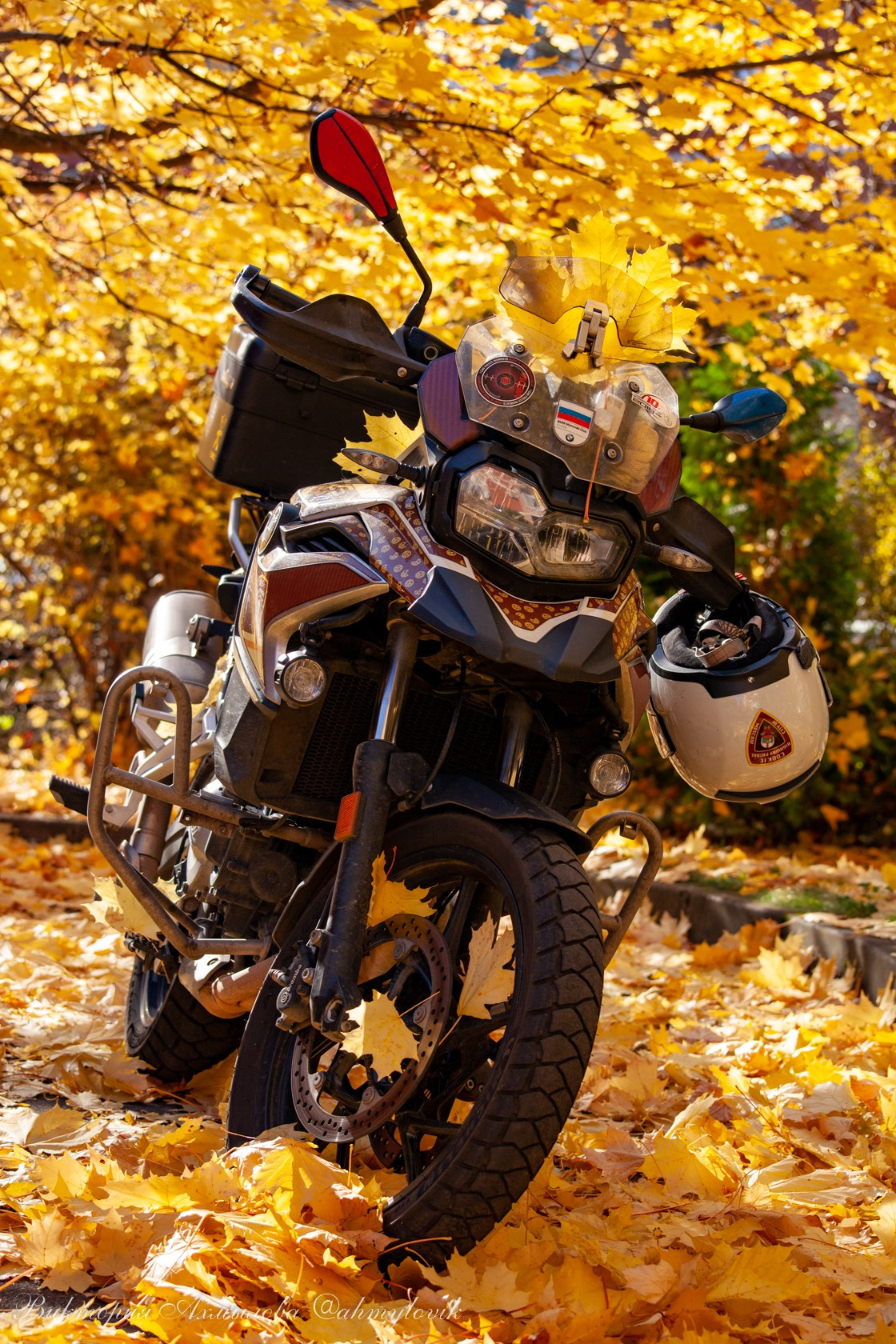 Маша Печенька (BMW GS1200). Виктория Ахмылова. Фотограф в Москве