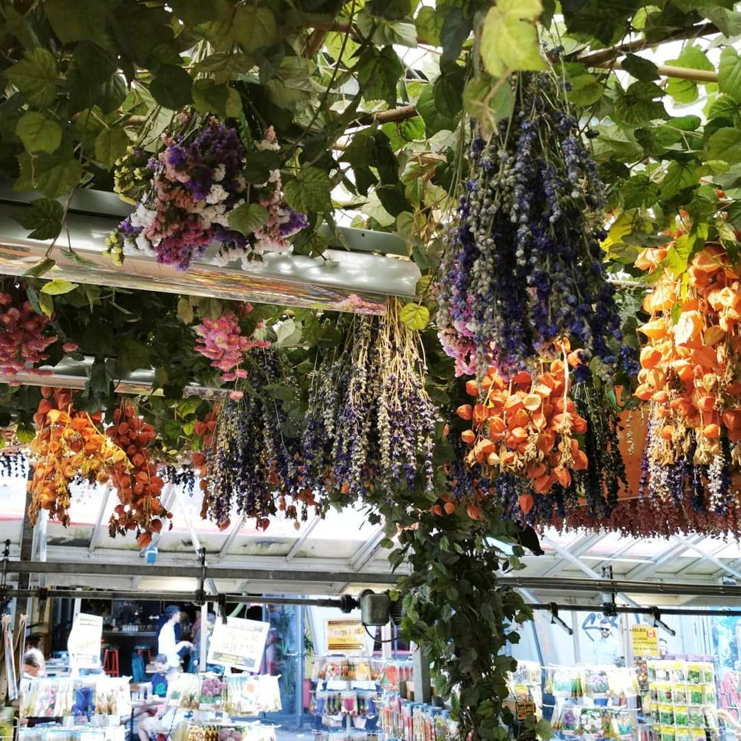 Anka`s Instagram. Заставка