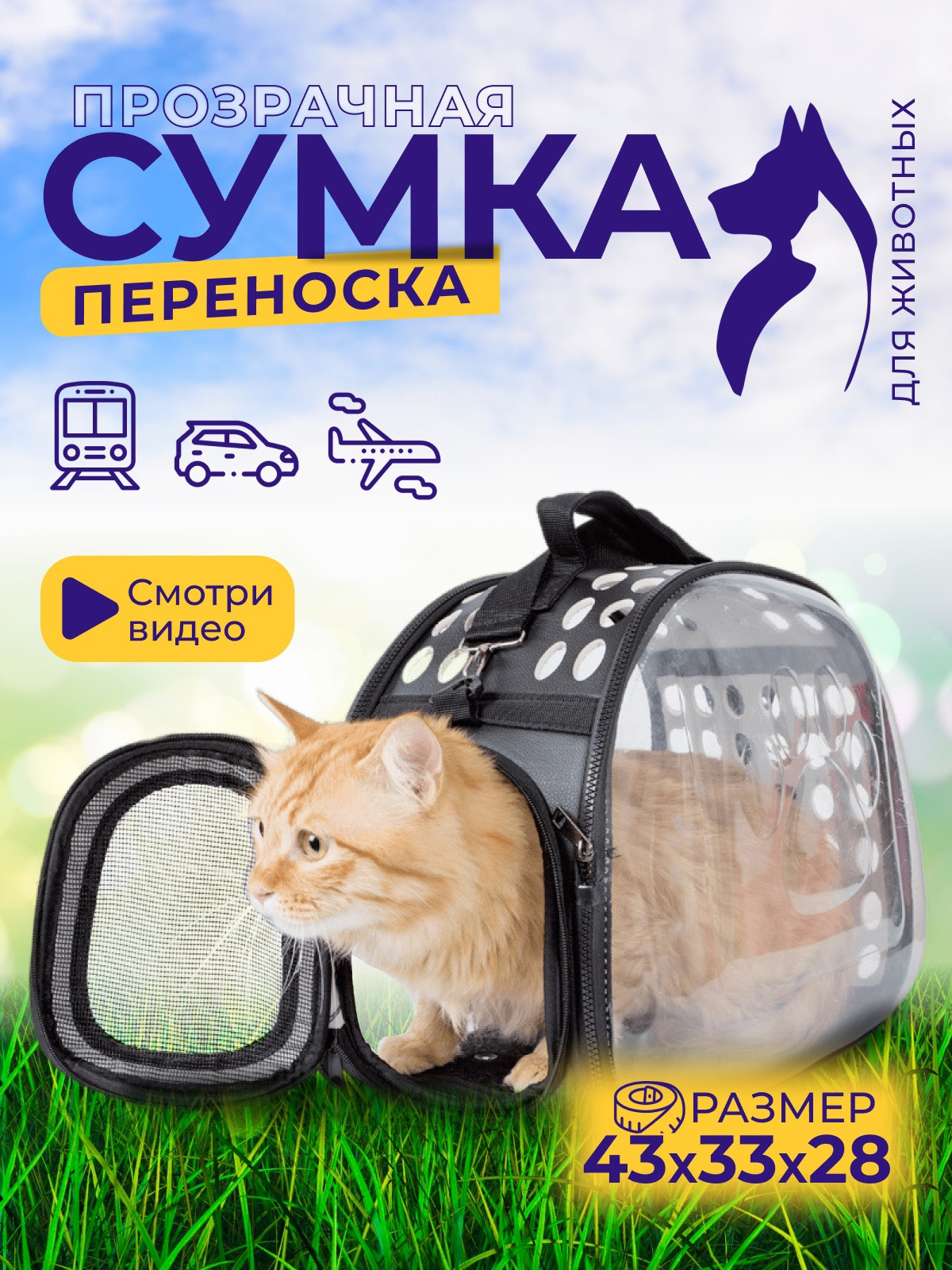 Инфографика для маркетплейсов — Казань