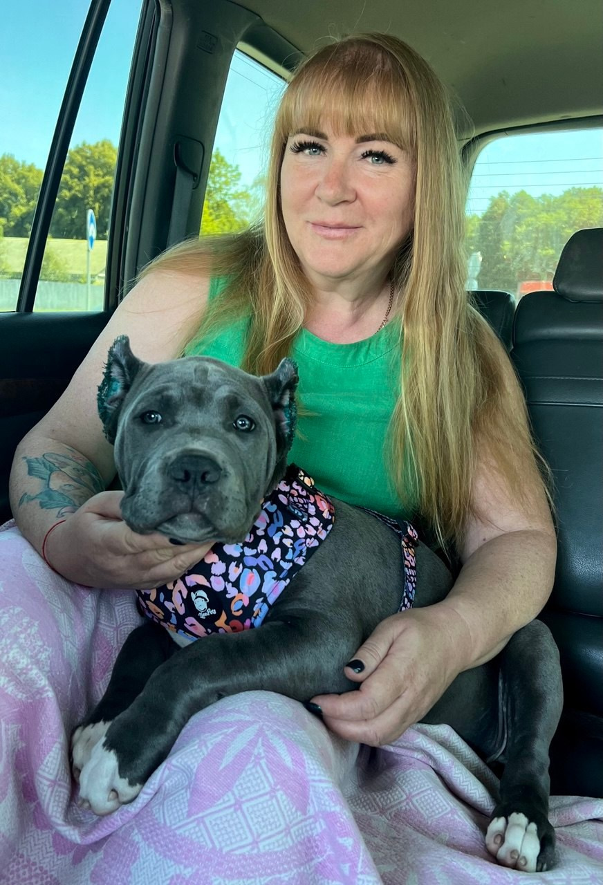 UPB’s Queenie & Zeus. 16.04.24. Американские булли XL в г. Калининград. Питомник Great Bully UNIVERSE