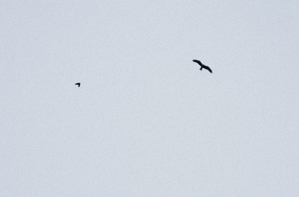 Л&Д. Фотограф Юлия Обрезкова Нижний Новгород