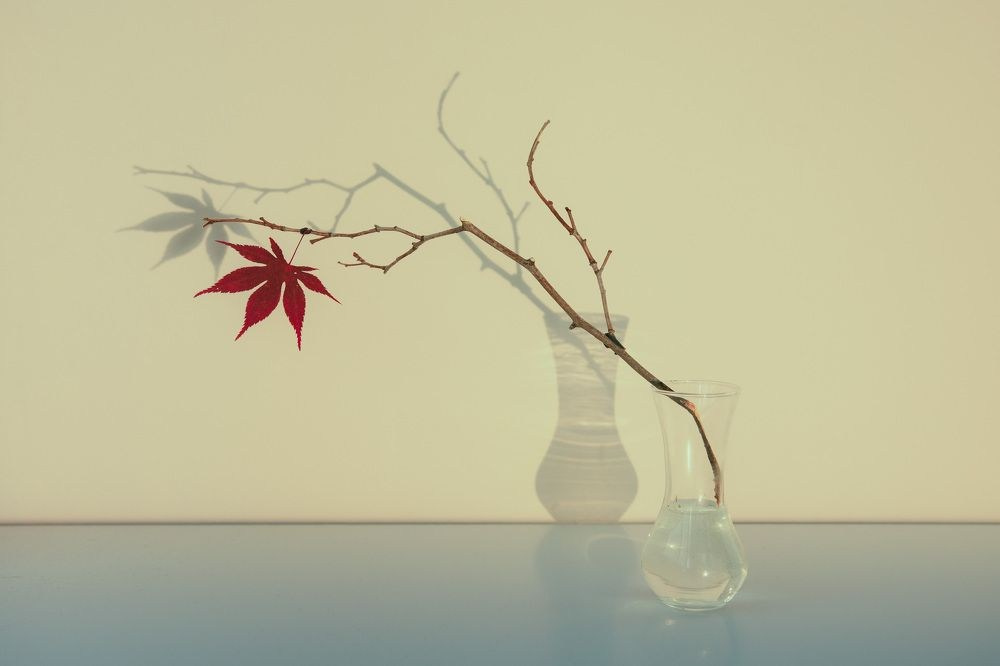 СТАКАНЫ/РЮМКИ. Фотограф для маркетплейсов Михаил Бове