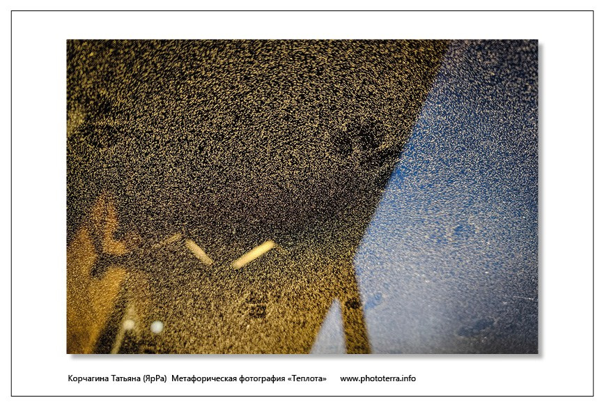 Тепло всегда. Татьяна Корчагина. Фотограф, художник. Обучение фотографии