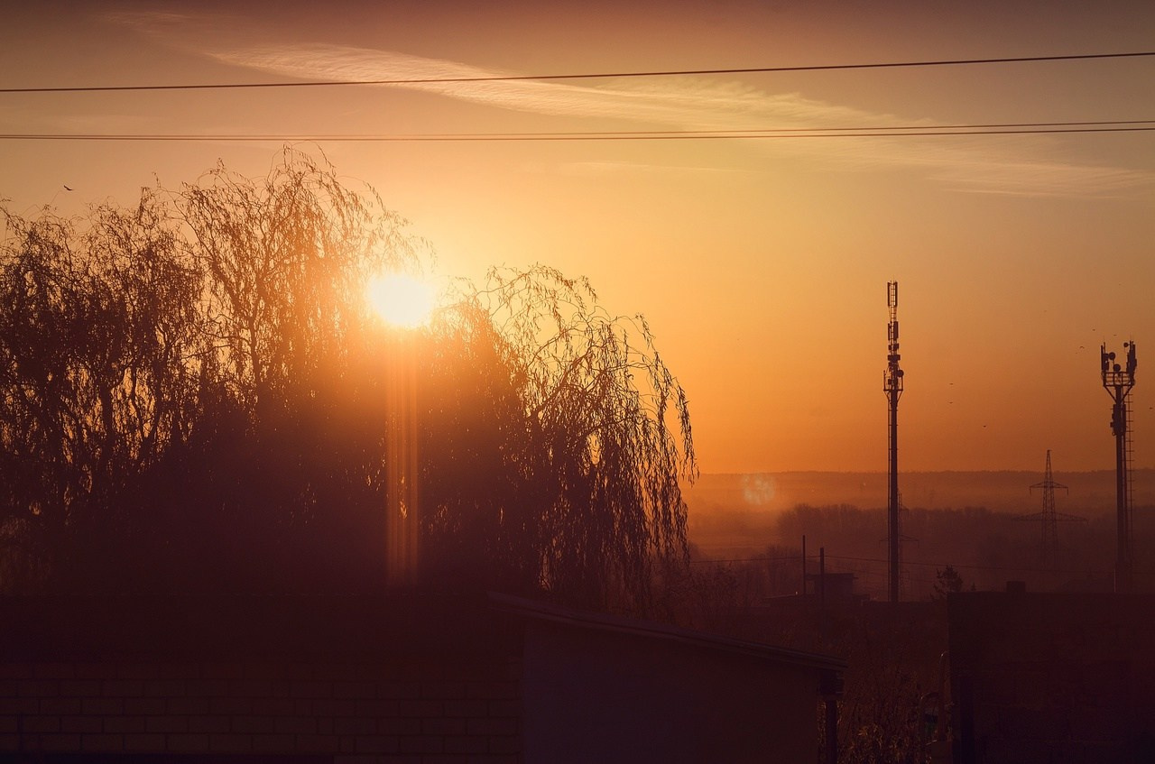 Дары Природы. Sreda fotoArt